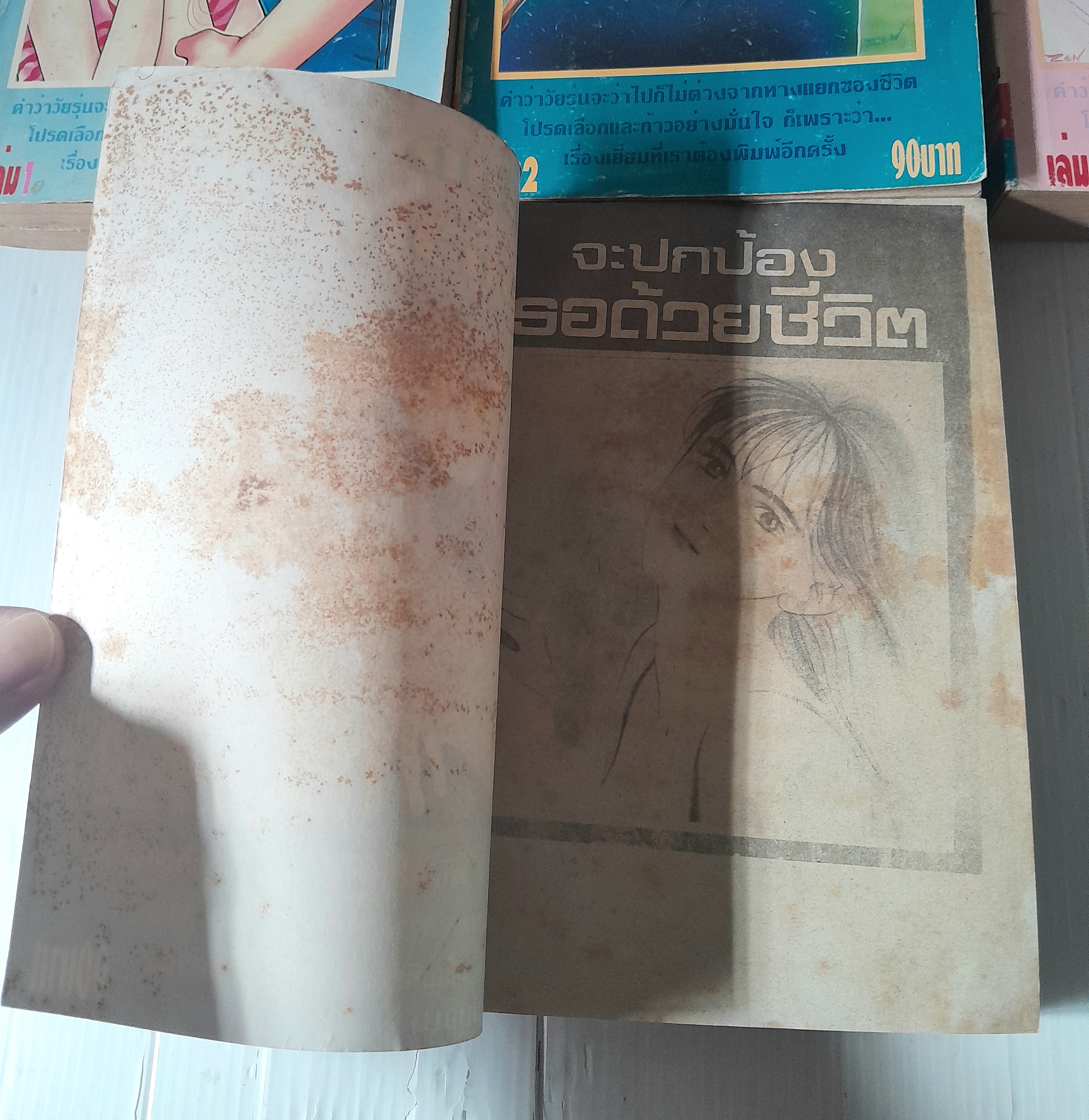 จะปกป้องเธอด้วยชีวิต 4 เล่มจบ