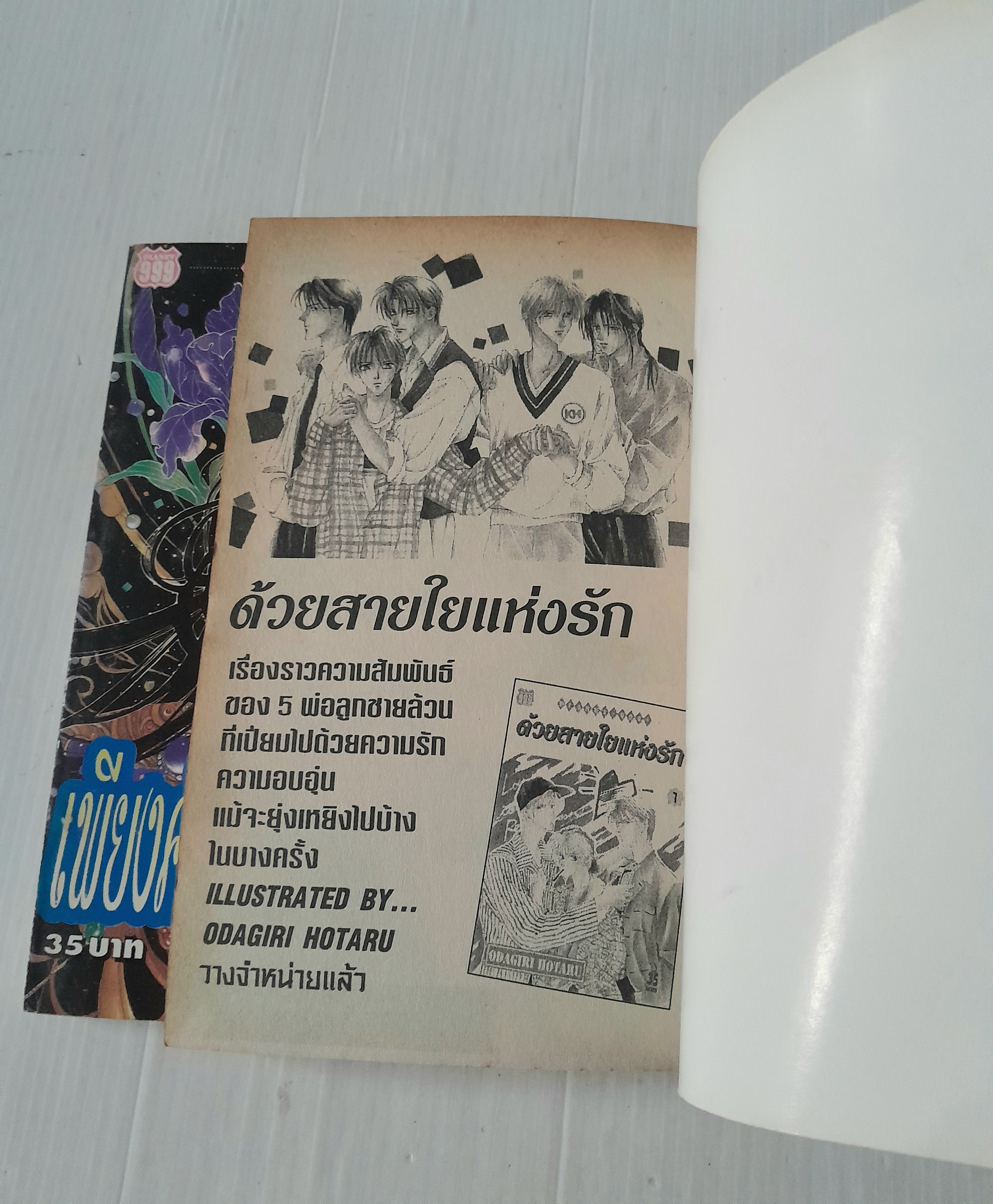 เพียงคำอธิษฐานจากดวงใจ 2 เล่มจบ / Rei Nakamura