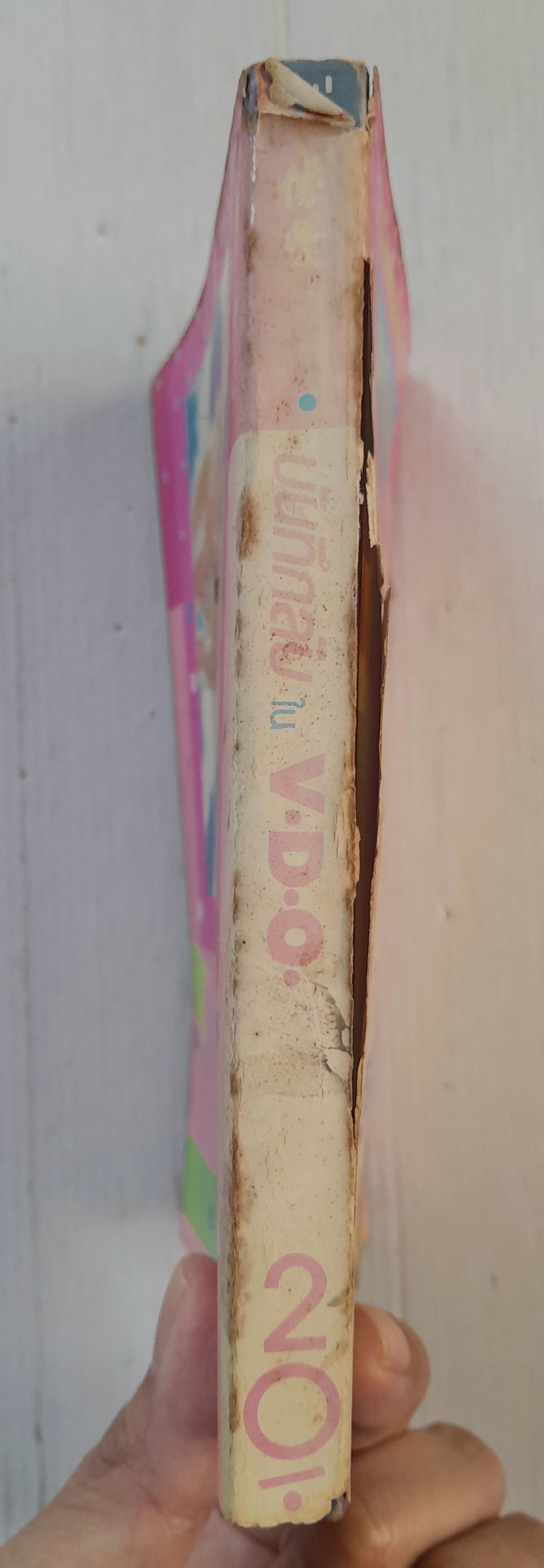 บันทึกลับใน V.D.O (เล่มเดียวจบ) / Matsumoto Yoko