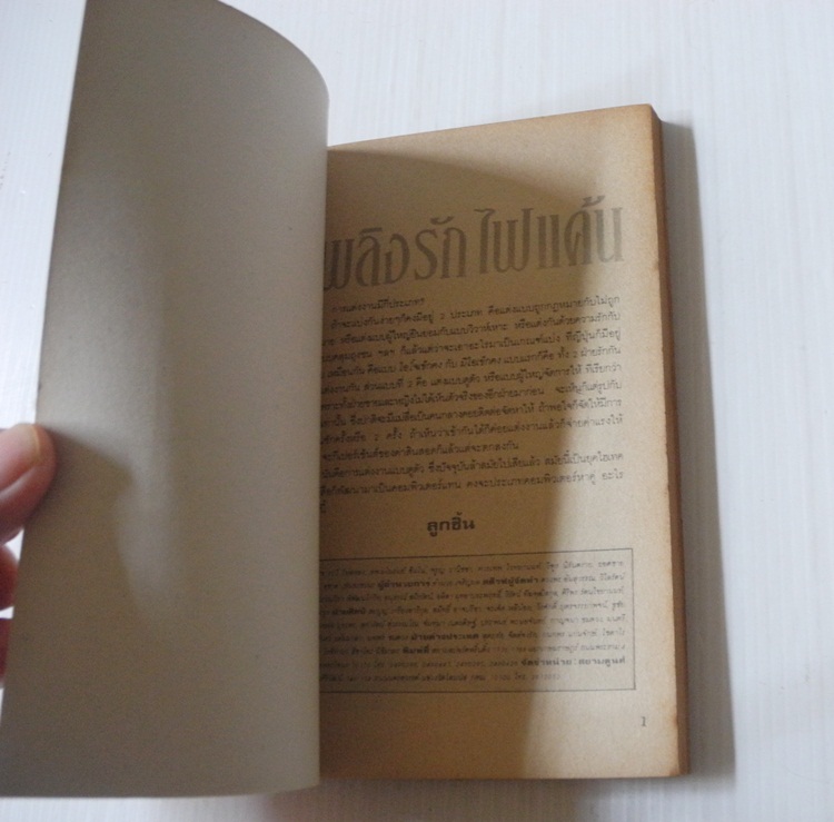 เพลิงรักไฟแค้น (เล่มเดียวจบ) / Kikukawa Chikako