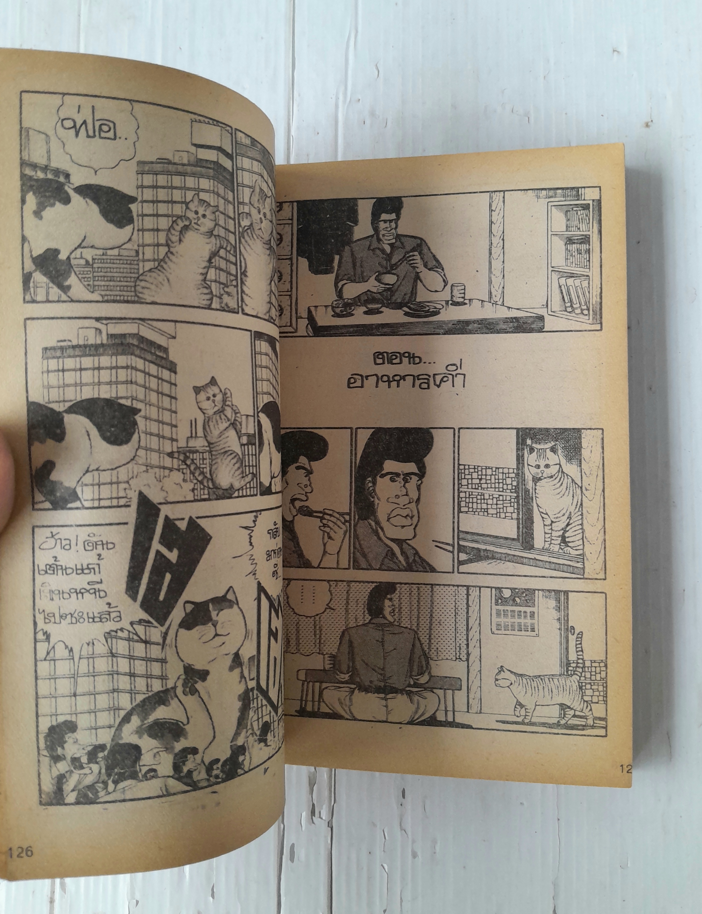 ไมเคิ้ลเหมียว เล่ม 1 (จบในฉบับ)