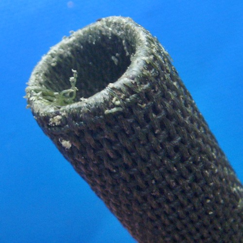 ตะกรุดโทนหลวงปู่ญาท่านสวน