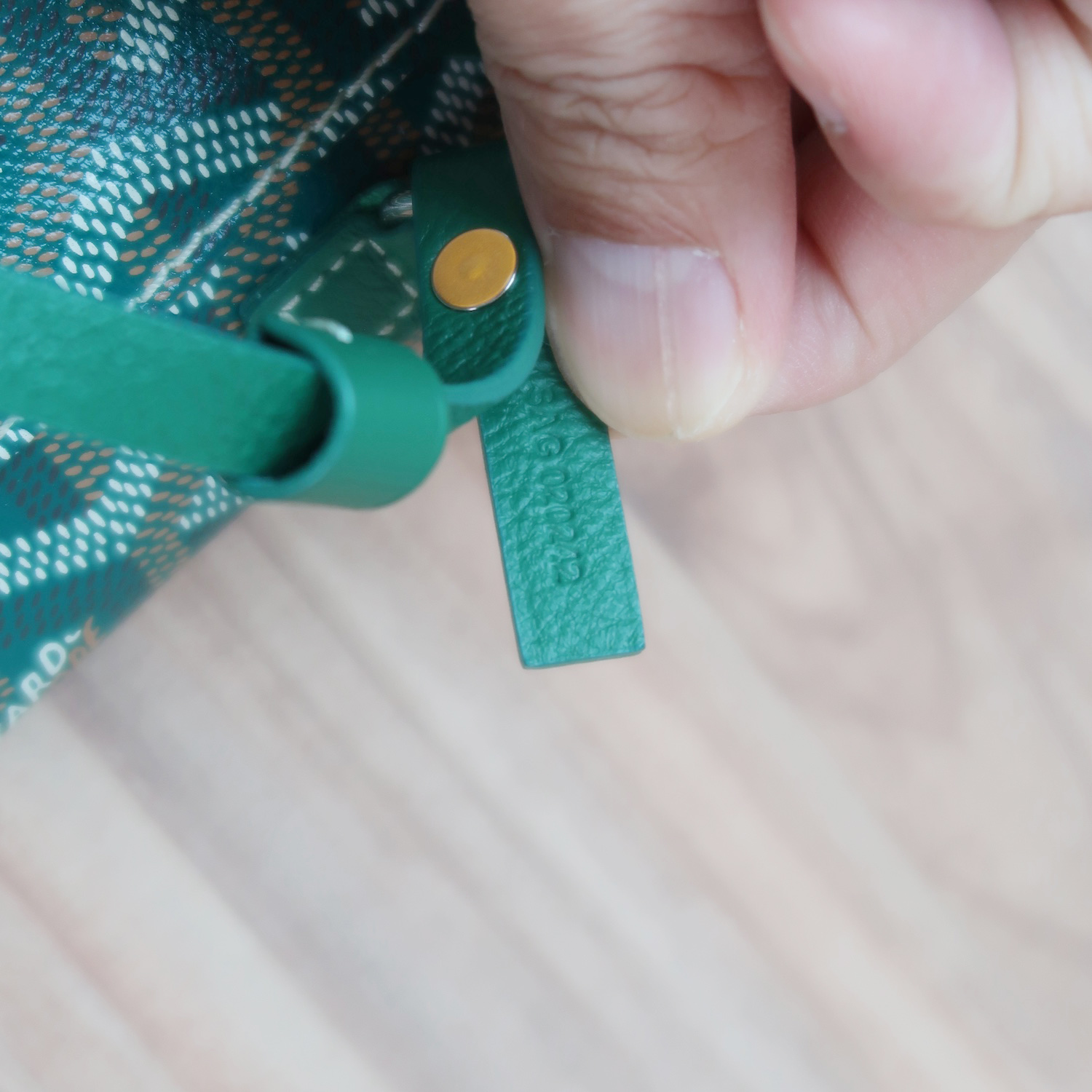 Goyard Green Monogram Anjou Mini Bag (2024)