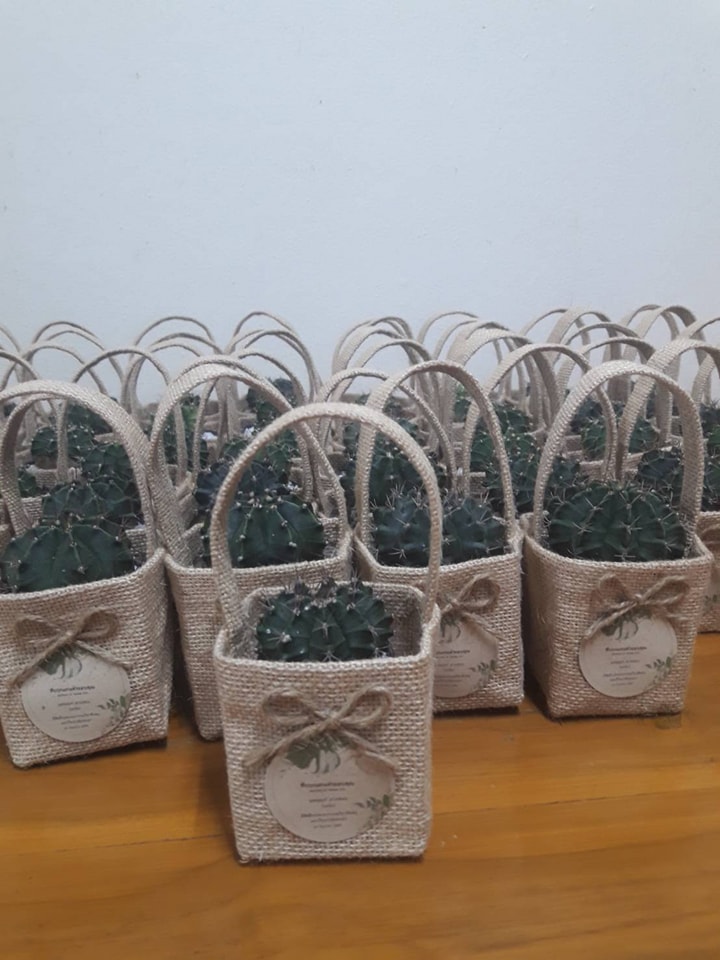 ถุงผ้ากระสอบใส่ต้นไม้จิ๋ว