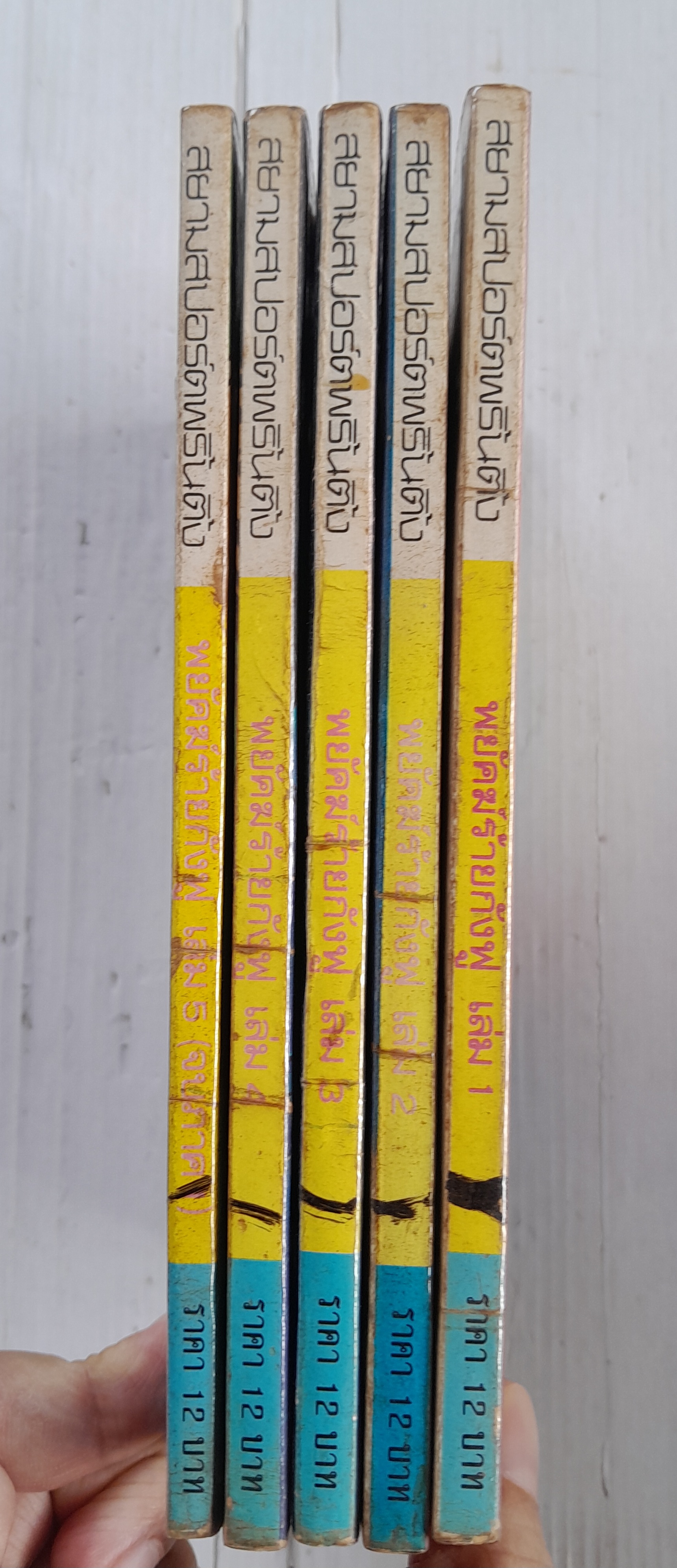 พยัคฆ์ร้ายกังฟู ภาค 2 (5 เล่มจบ) / Yoshima Yasuichi