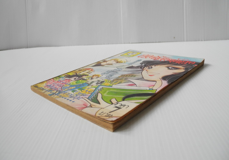 นานแค่ไหนก็จะรอ ( เล่มเดียวจบ ) / Chieko Hara