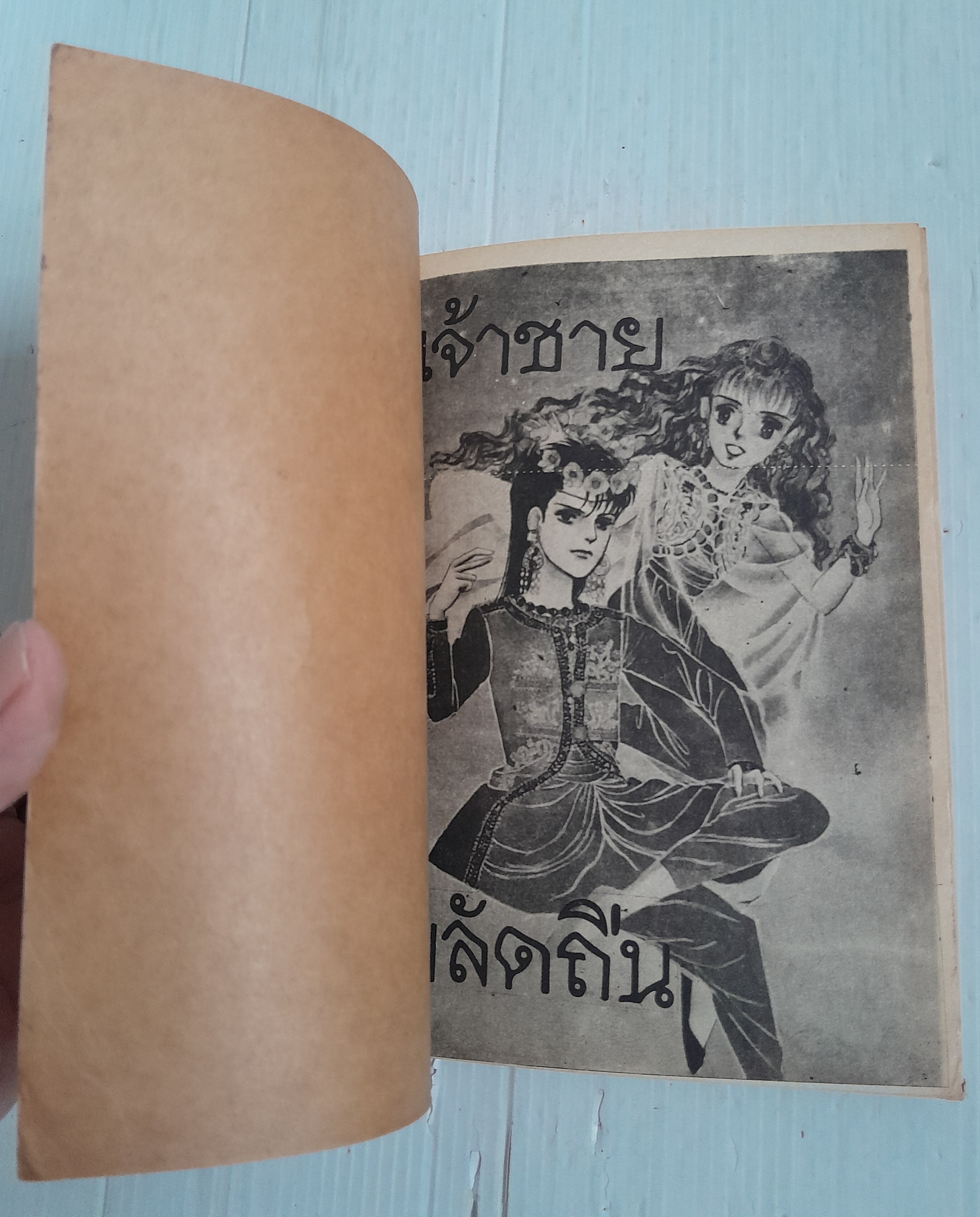 เจ้าชายพลัดถิ่น (เล่มเดียวจบ) / Yamato Waki