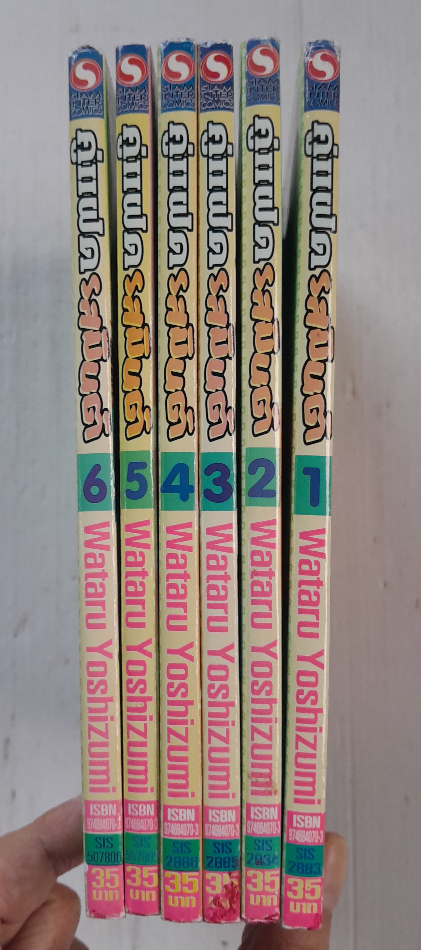 คู่แฝดรสมิ้นต์ 6 เล่มจบ / Wataru Yoshizumi
