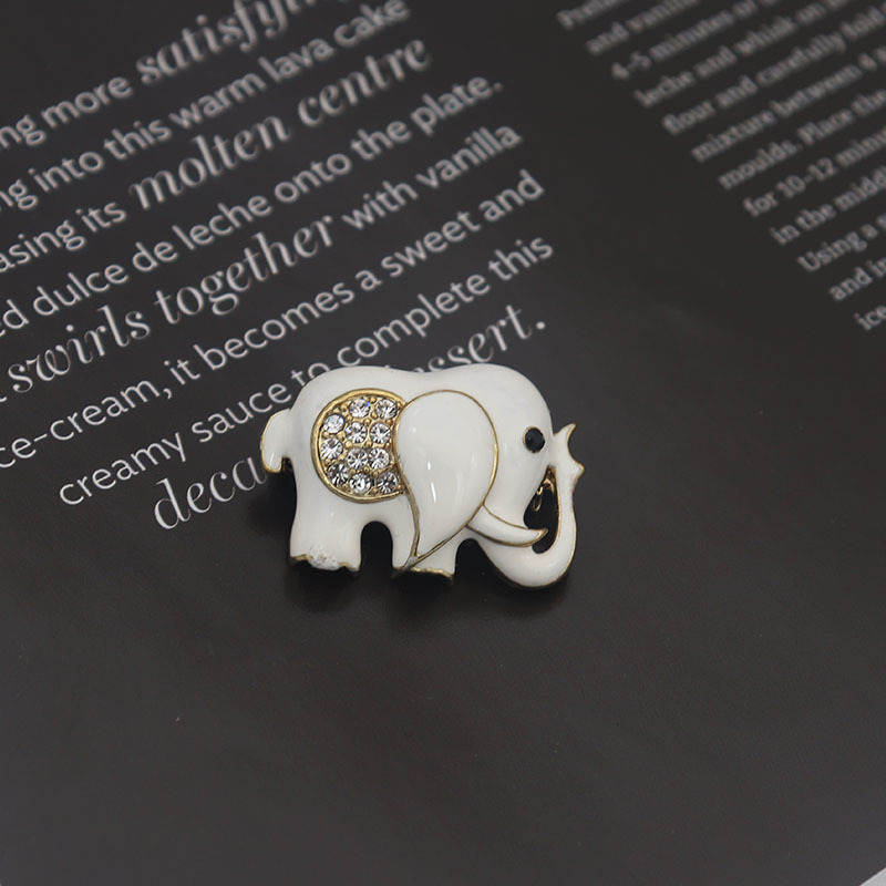 เข็มกลัด เข็มกลัดสวยๆ เข็มกลัดติดเสื้อ Brooch