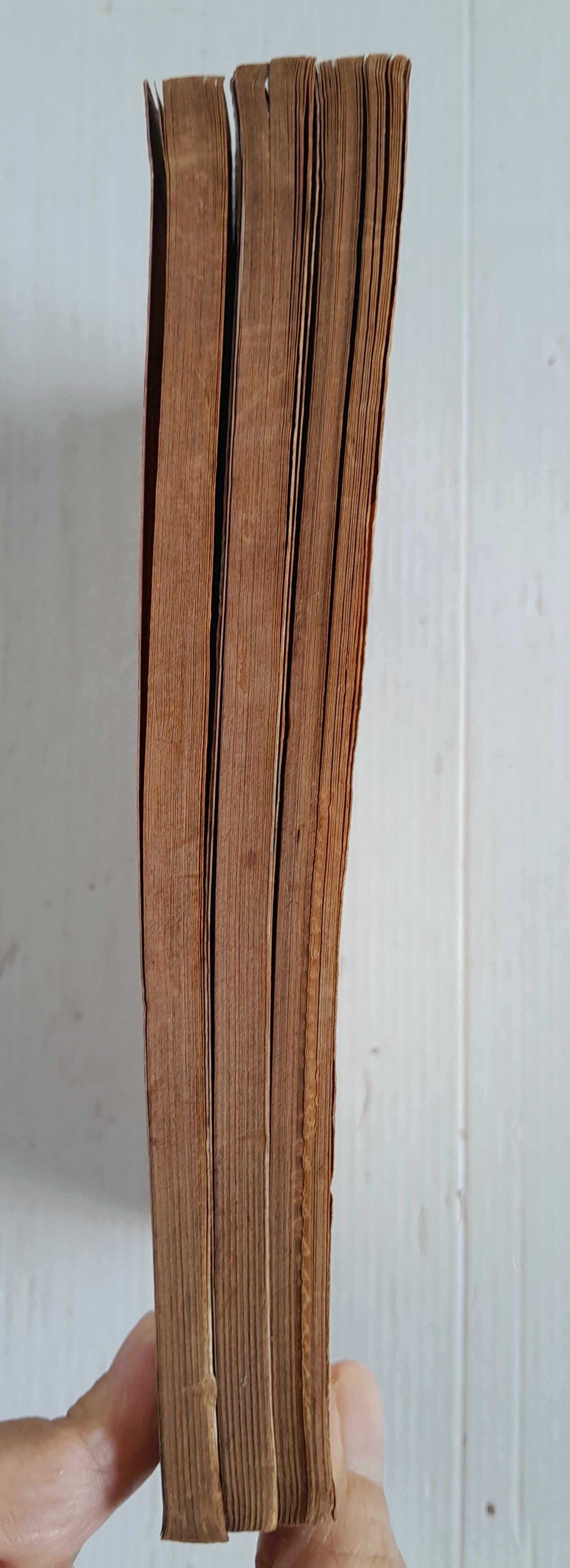 สวนสัตว์อลวน 3 เล่มจบ / ทาคานาชิ ชิซูเอะ