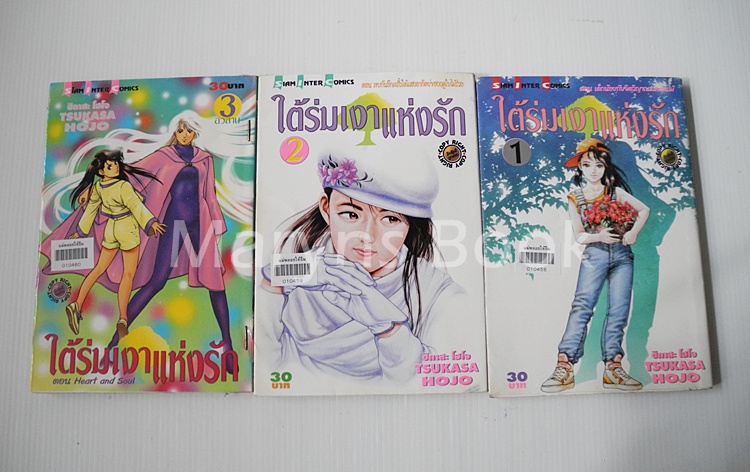 ใต้ร่มเงาแห่งรัก 3 เล่มจบ / Tsukasa Hojo