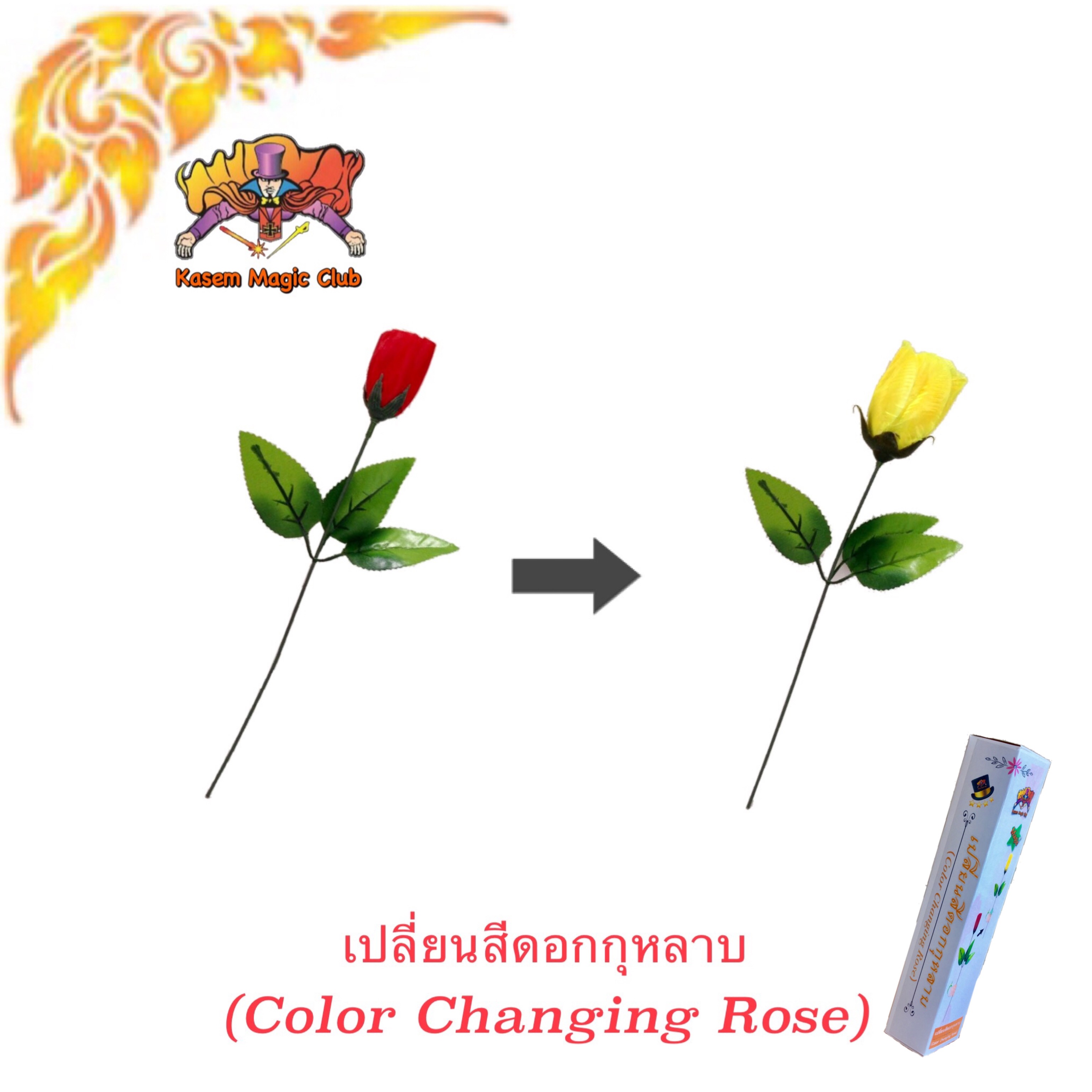 อุปกรณ์มายากล เปลี่ยนสีดอกกุหลาบ (Color Changing Rose)