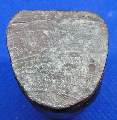 ลิงหน้าโขน