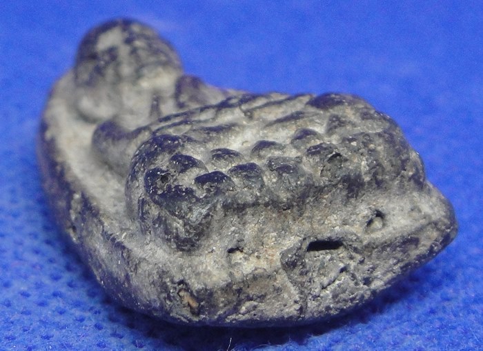 หลวงปู่ทวด วัดช้างไห้