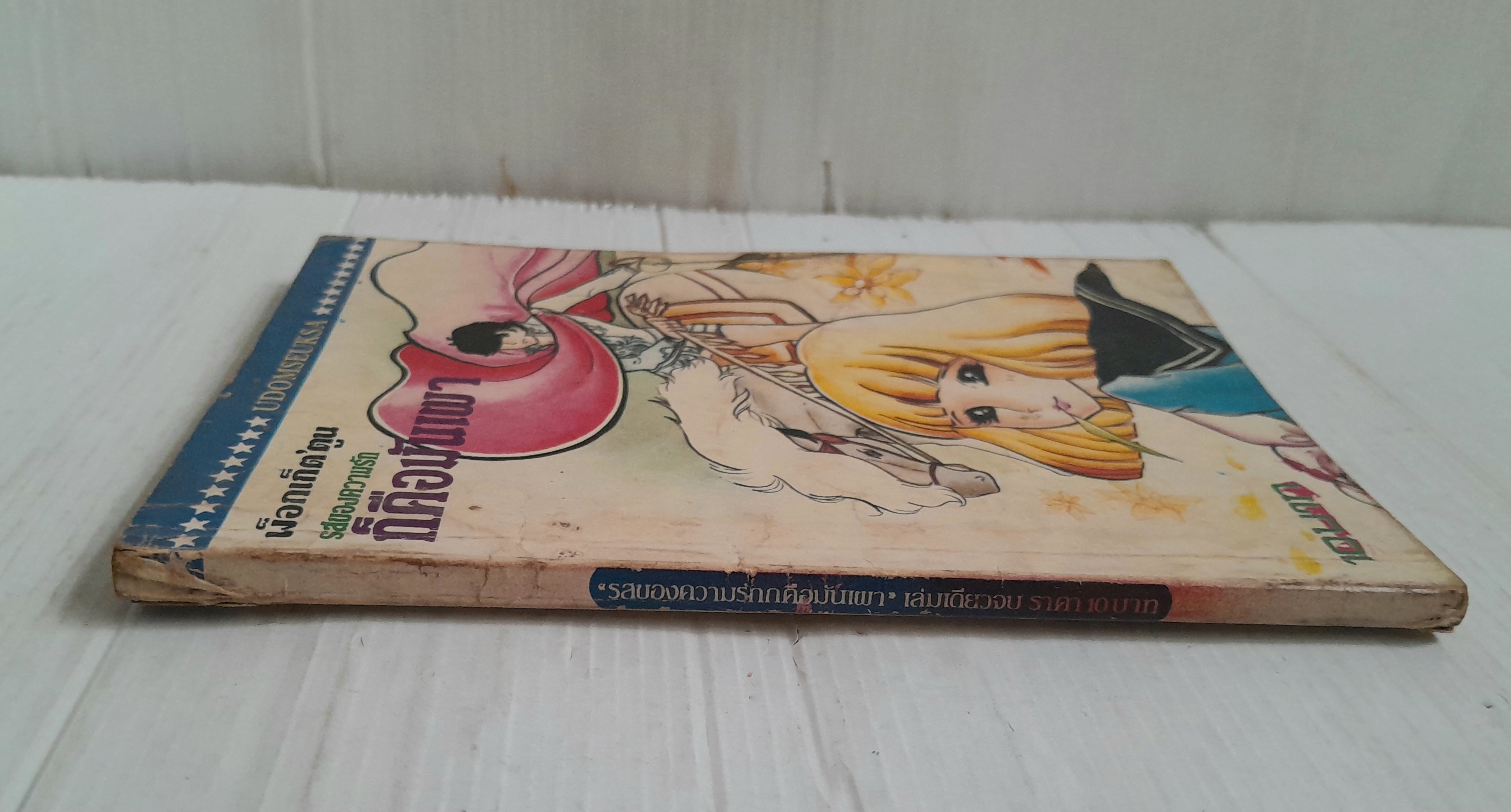 ก็คือมันเผา (เล่มเดียวจบ)