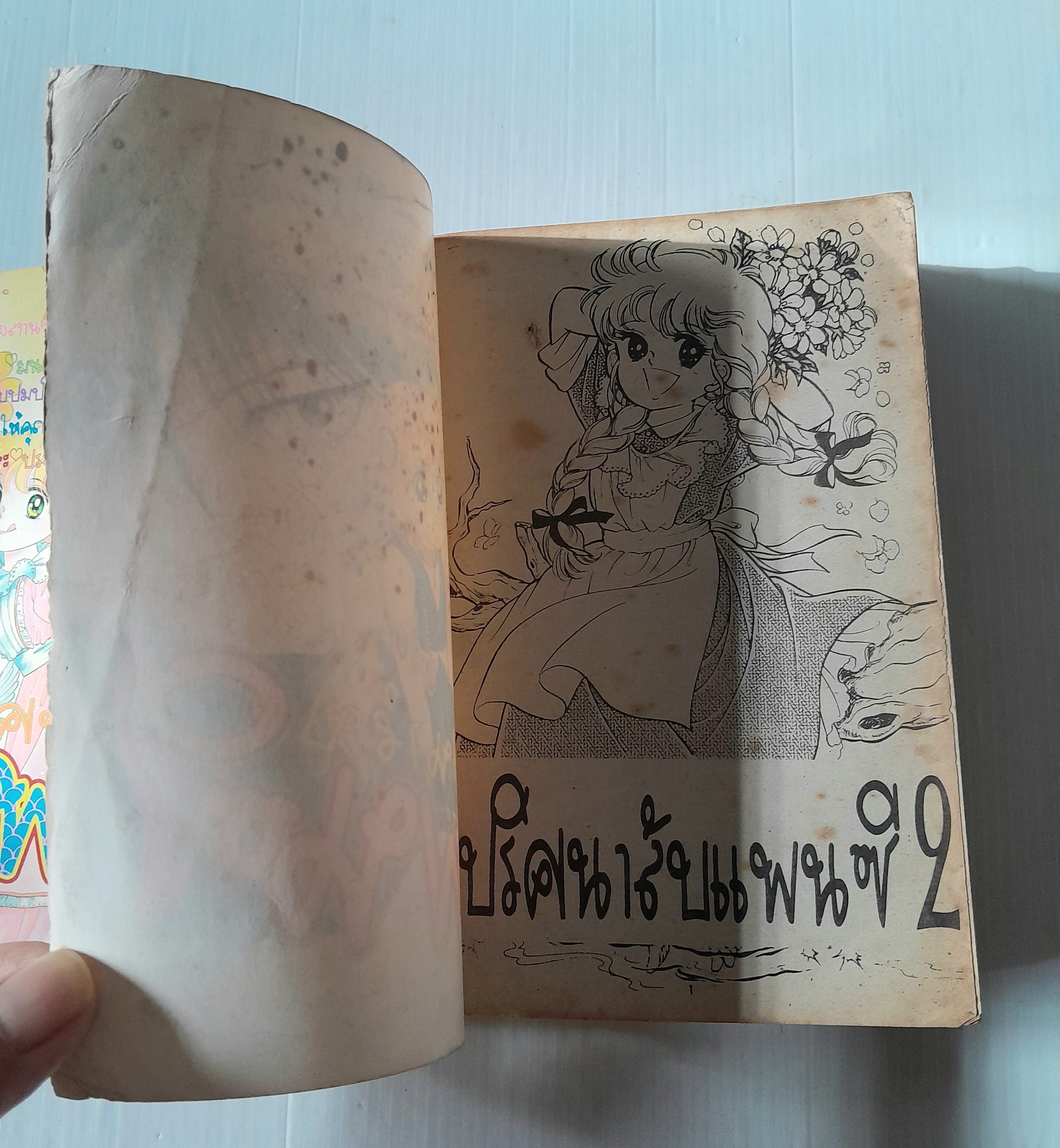 ปริศนาลับแพนซี 2 เล่มจบ / โอคามุระ มาริโกะ