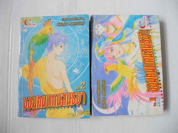 จอมคนแดนสนธยา เล่ม 1-2 / Akino mutsuri