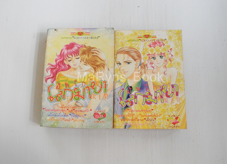 ฝันรักโลกมายา 2 เล่มจบ