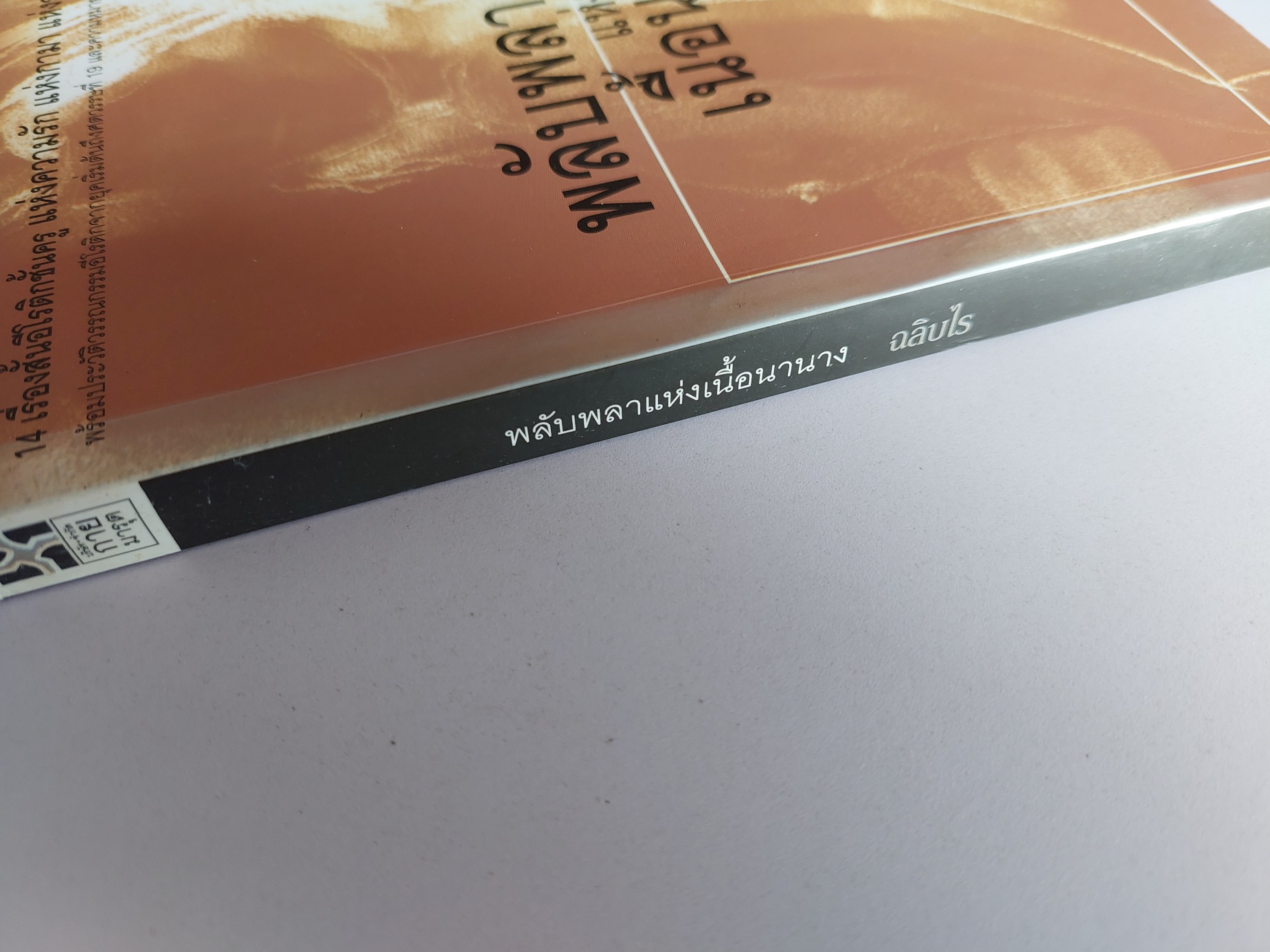 พลับพลาแห่งเนื้อนานาง / หลายคนเขียน / ฉลิบไร