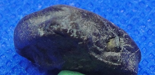 พระปิดตาหลวงพ่อหมา วัดระเว