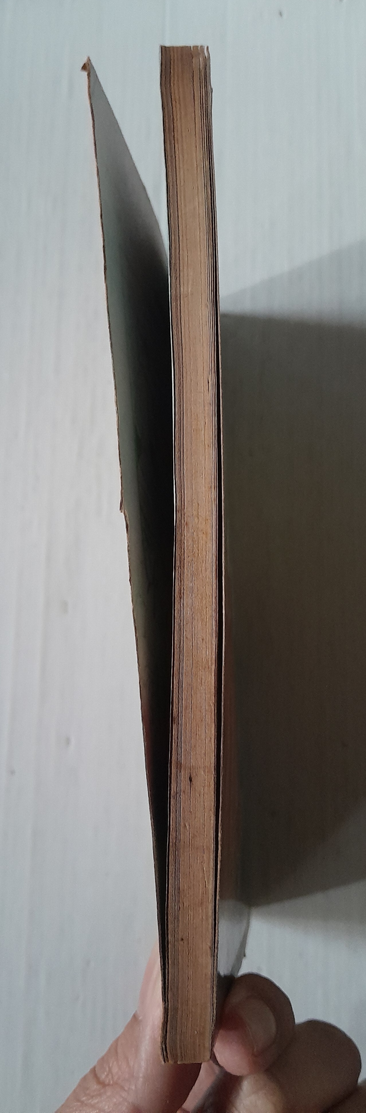 แคนดี้จอมแก่น เล่ม 2 / Igarashi Yumiko