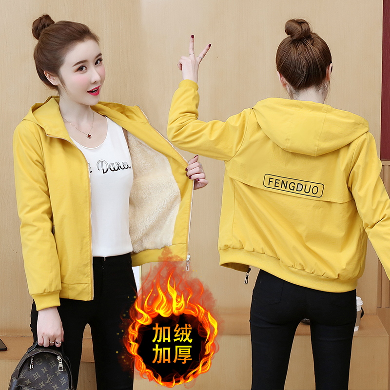 แจ็คเก็ต เสื้อคลุมแจ็คเก็ต