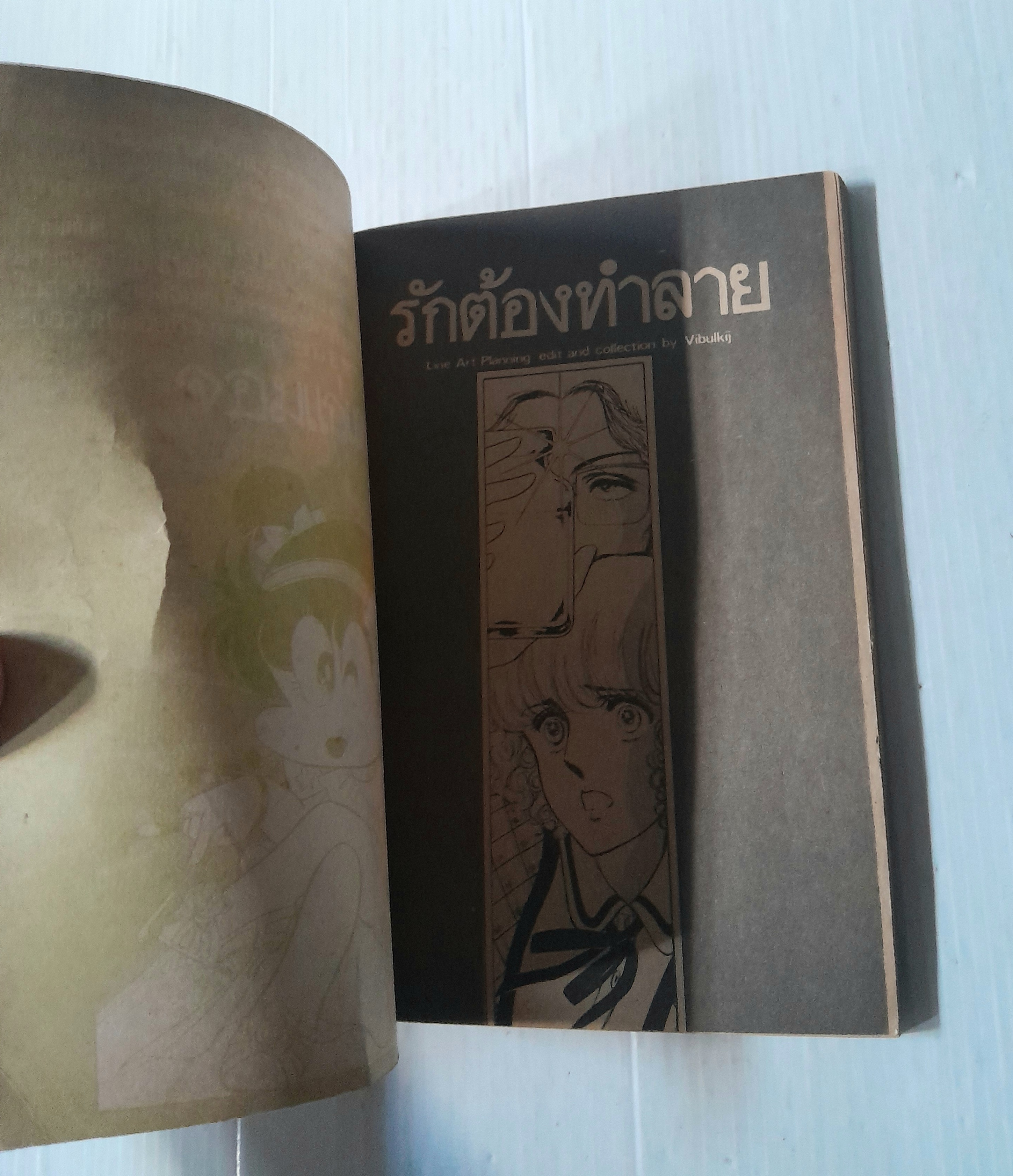 รักต้องทำลาย (เล่มเดียวจบ)