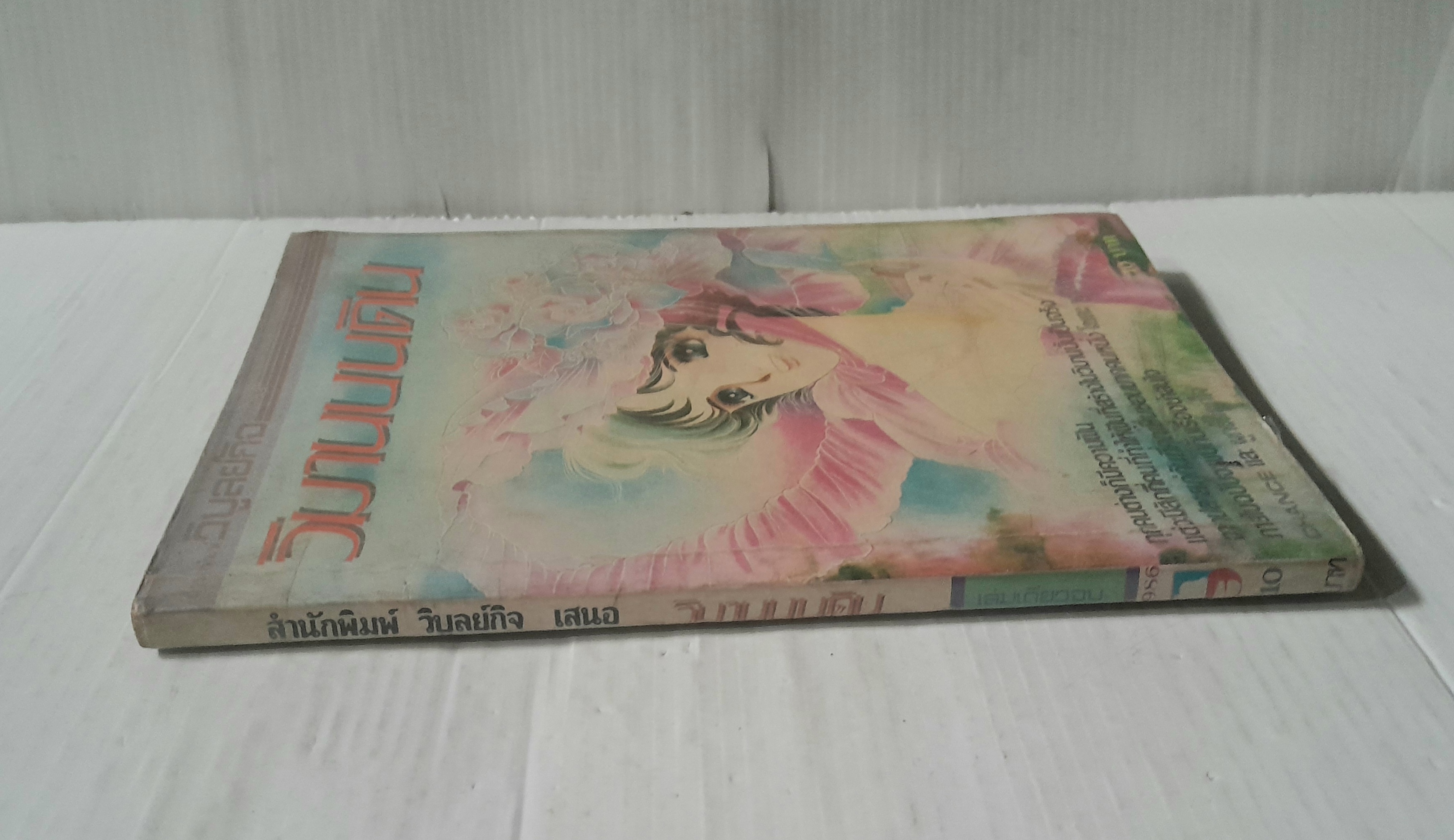 วิมานบนดิน (เล่มเดียวจบ)