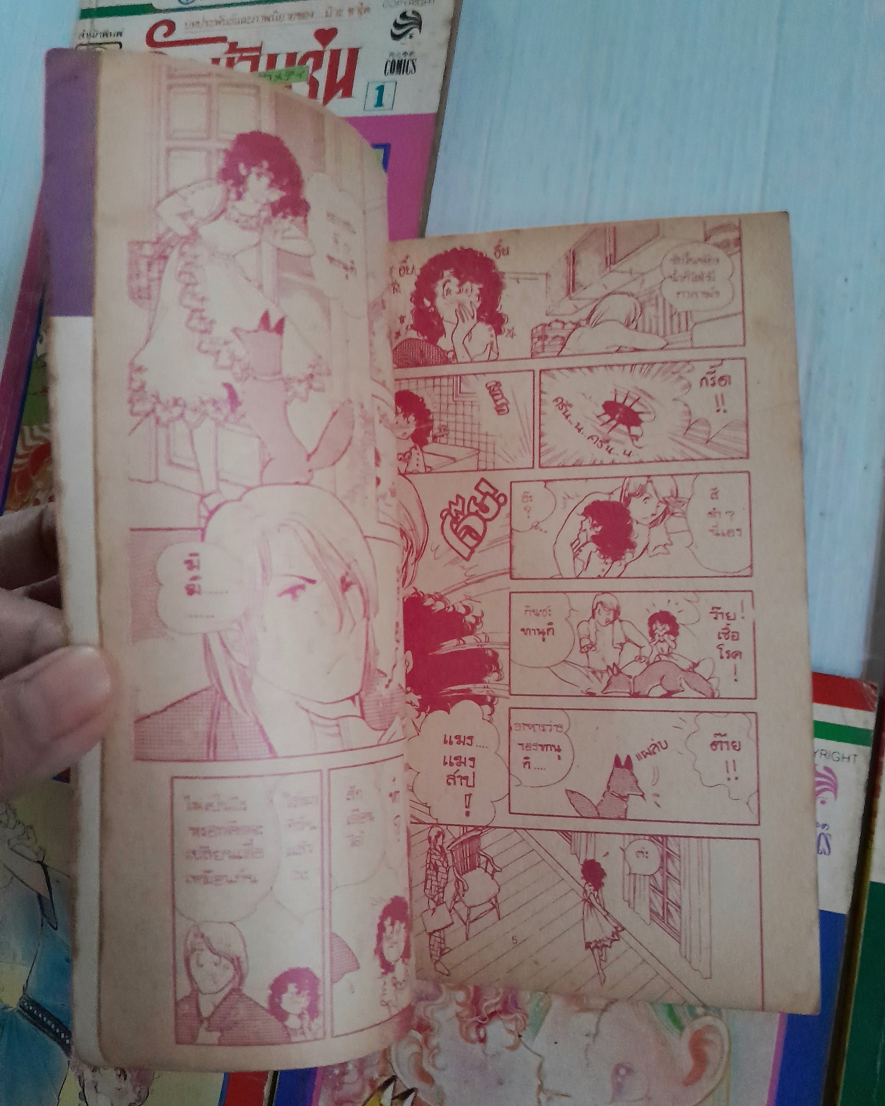 รักข้ามรุ่น 12 เล่มจบ / มิวะ ซาคาอิ