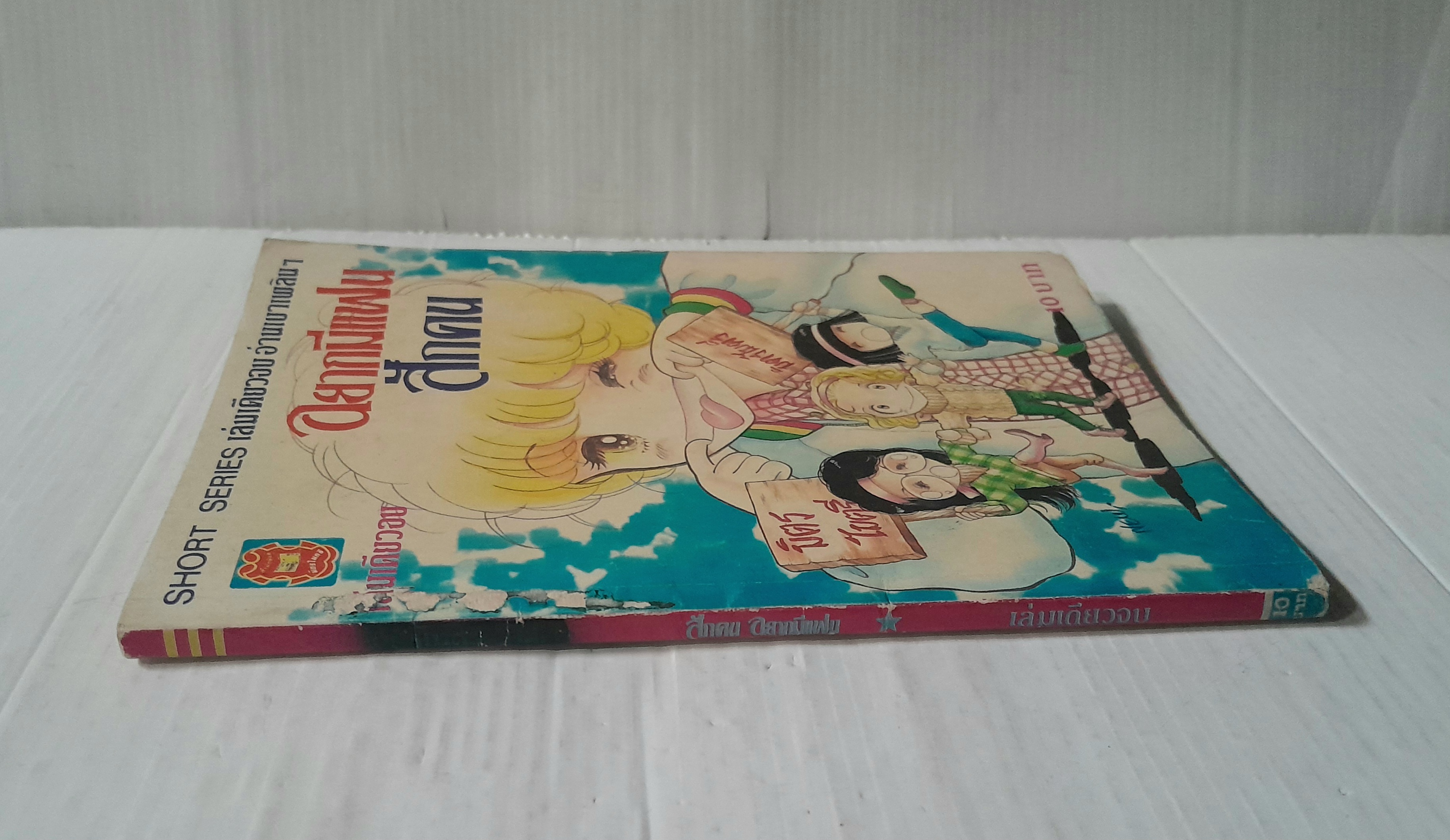 อยากมีแฟนสักคน (เล่มเดียวจบ)