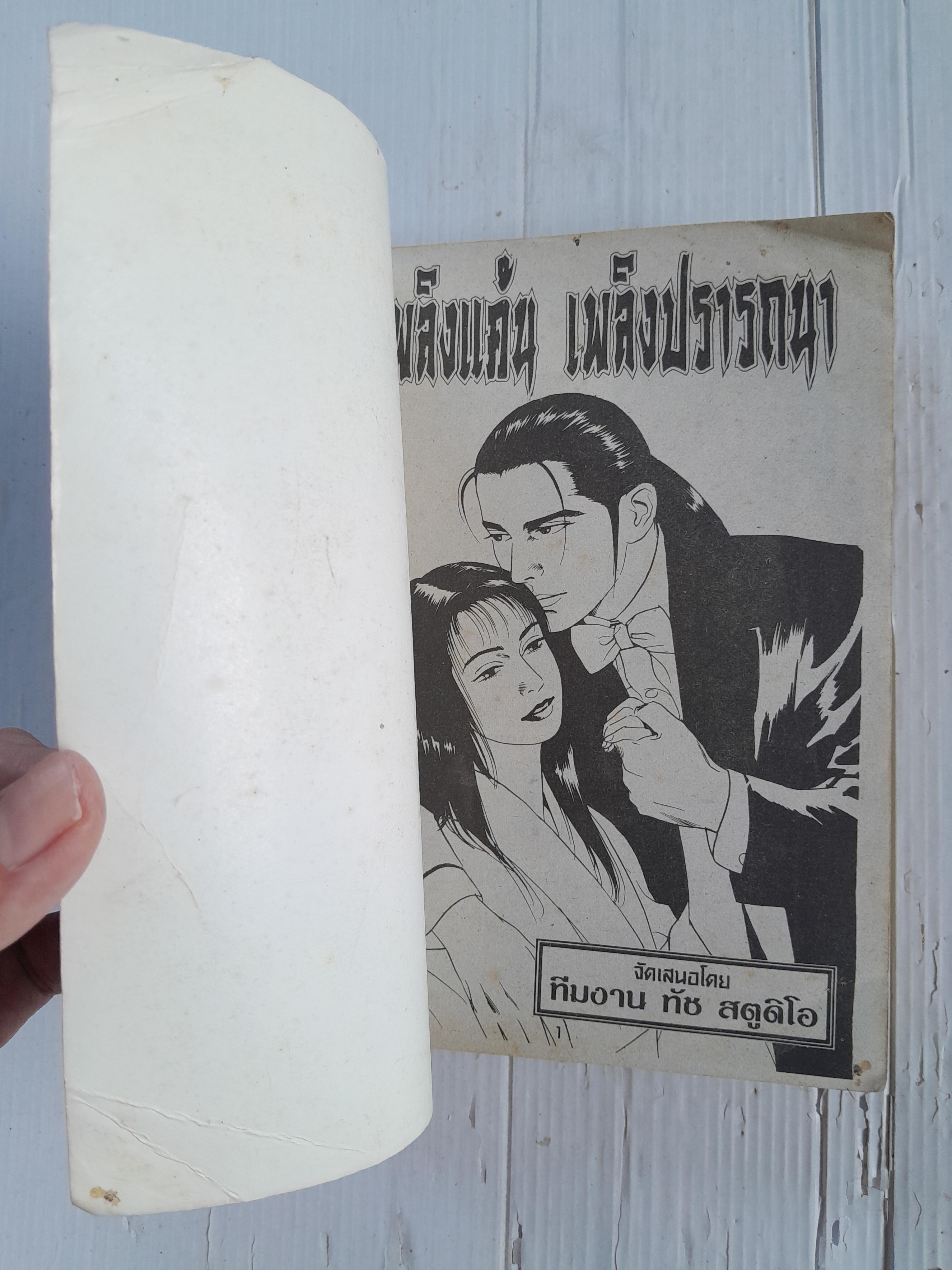 เพลิงแค้นเพลิงปรารถนา (เล่มเดียวจบ)