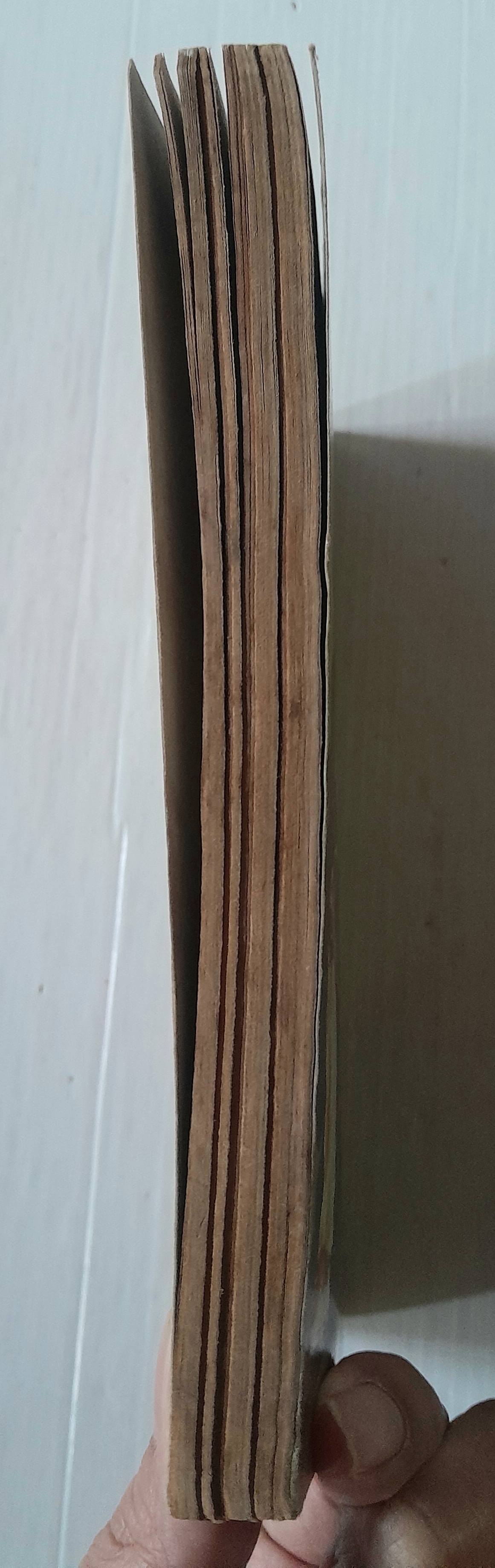 King Bomba (เล่มเดียวจบ)