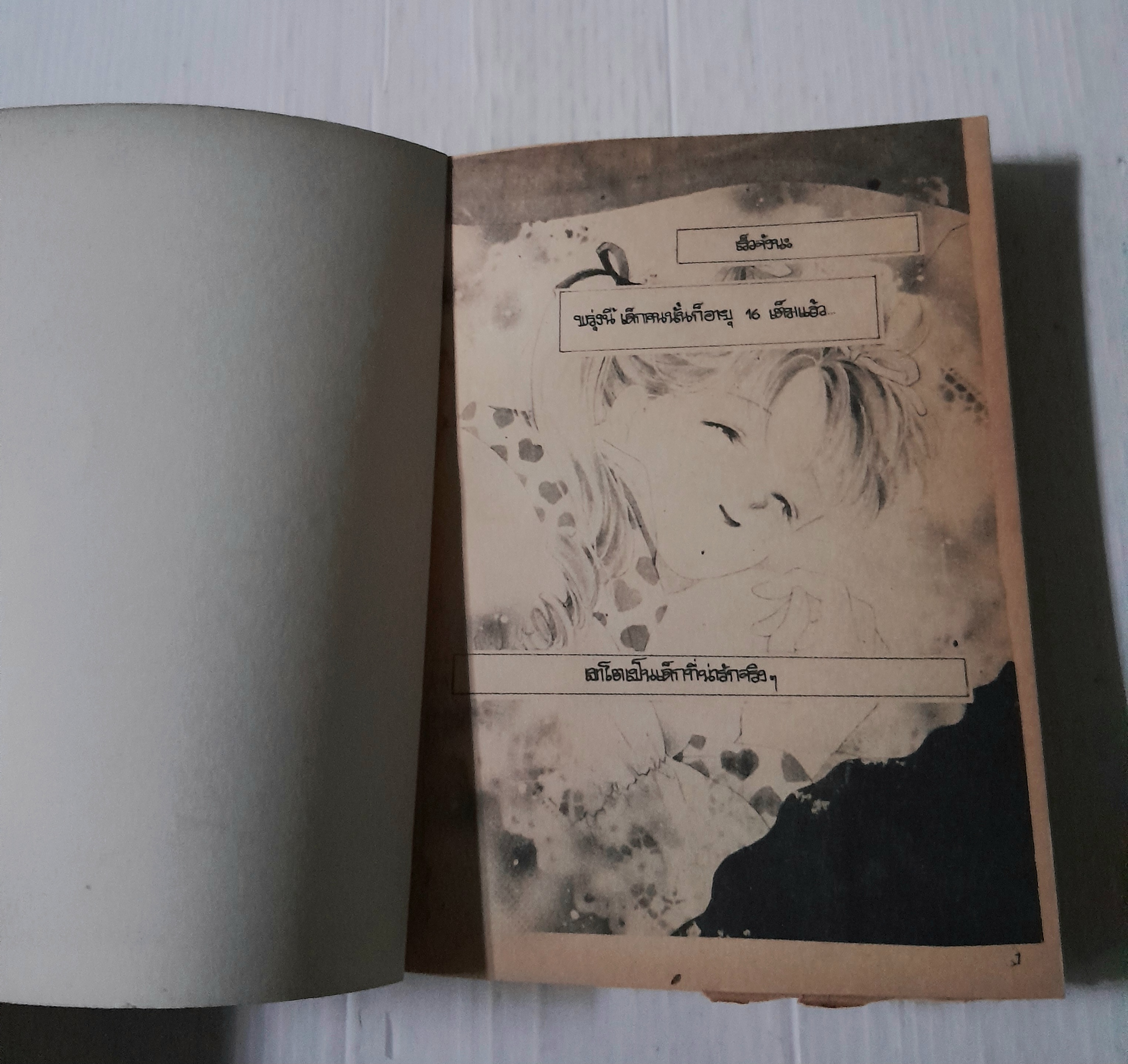 ลูกครึ่งนางฟ้า+ซาตาน (เล่มเดียวจบ) / Kawachi Yukari