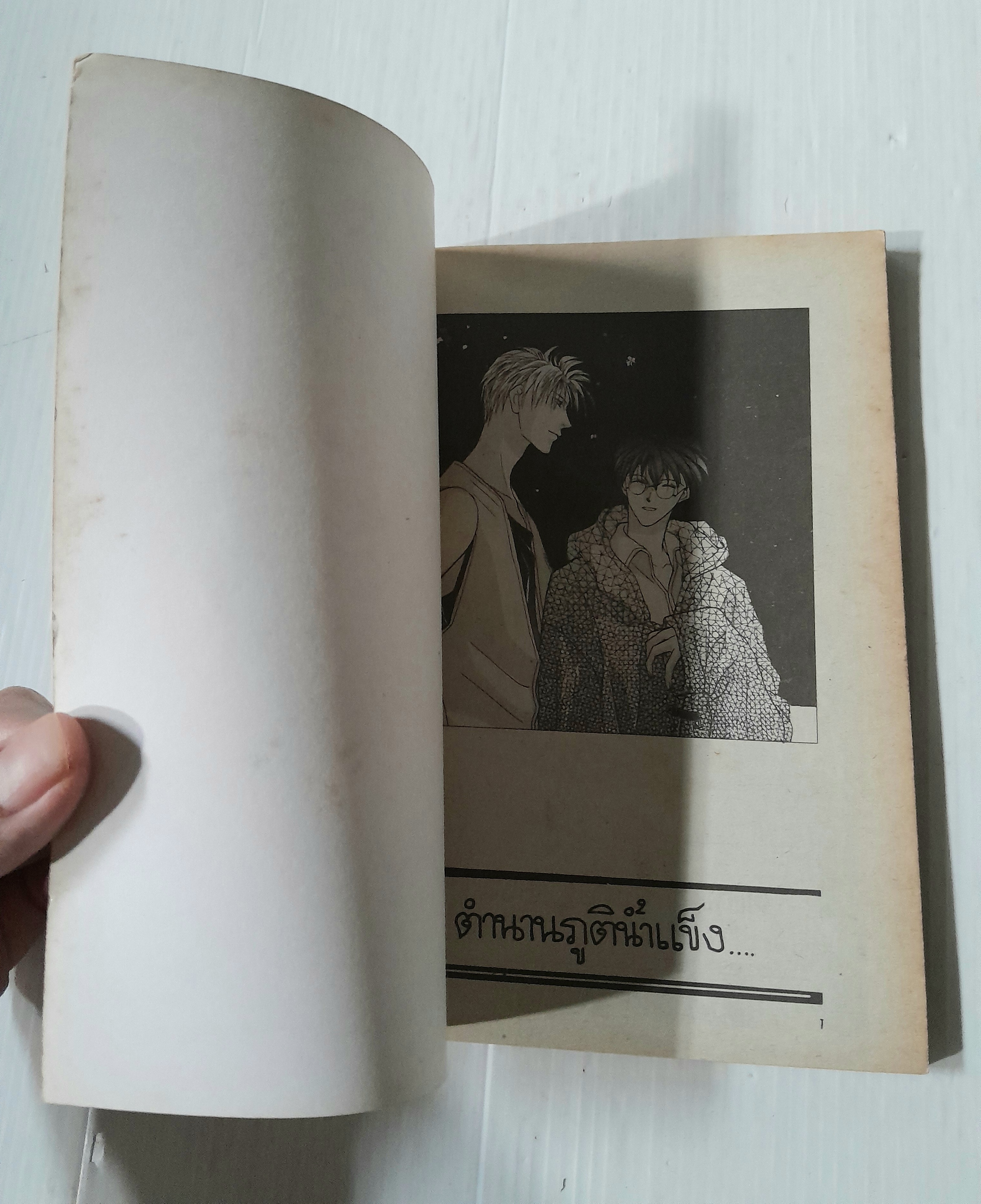 ตำนานภูตน้ำแข็ง เล่ม 2 (เล่มเดียวจบ) / Sugiura Shiho