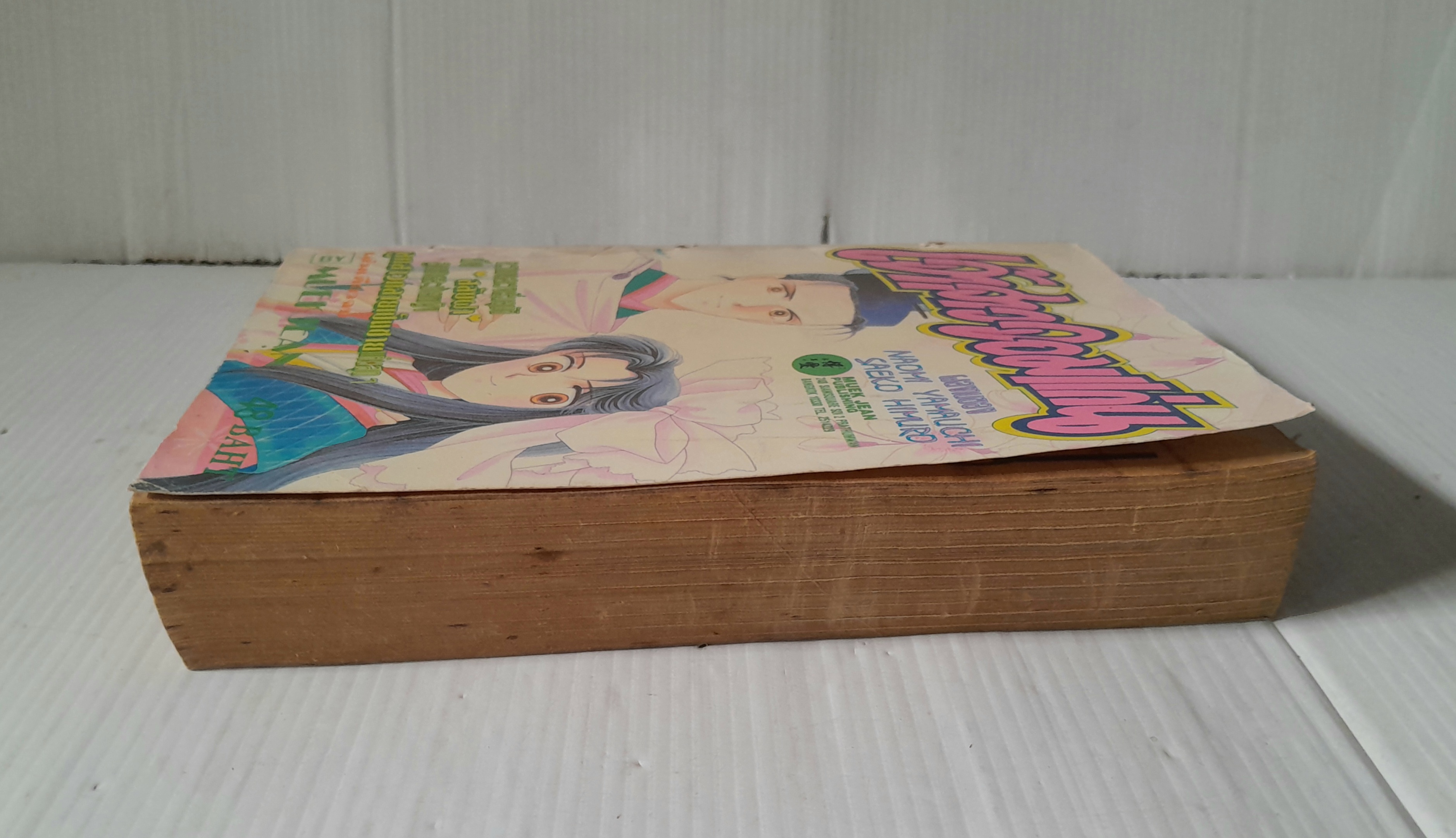 เจ้าสาวจอมแก่น (เล่มเดียวจบ) / Yamauchi Naomi