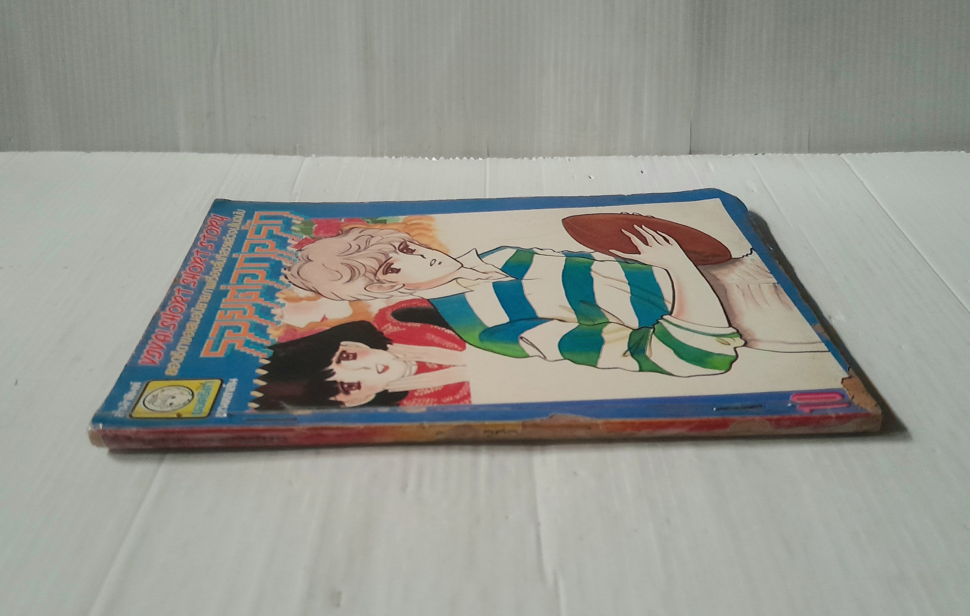 รอยต่อก่อรัก (เล่มเดียวจบ)