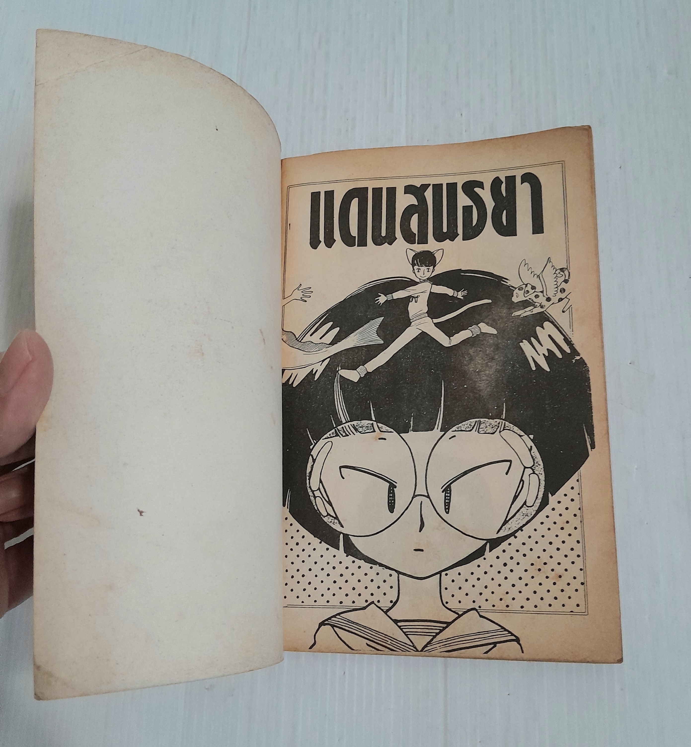 แดนสนธยา (เล่มเดียวจบ) / Yamato Waki