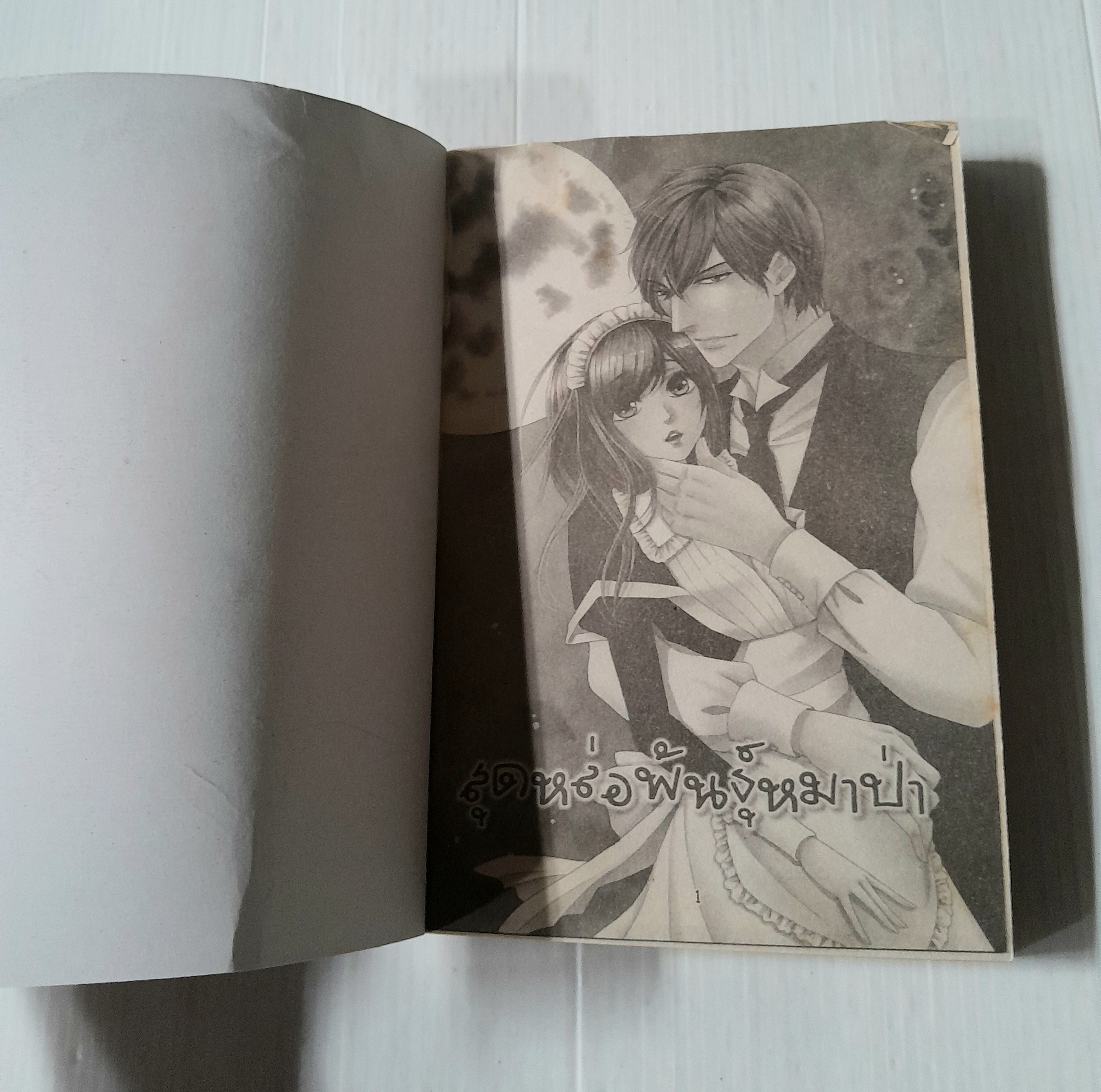 สุดหล่อพันธุ์หมาป่า (เล่มเดียวจบ)