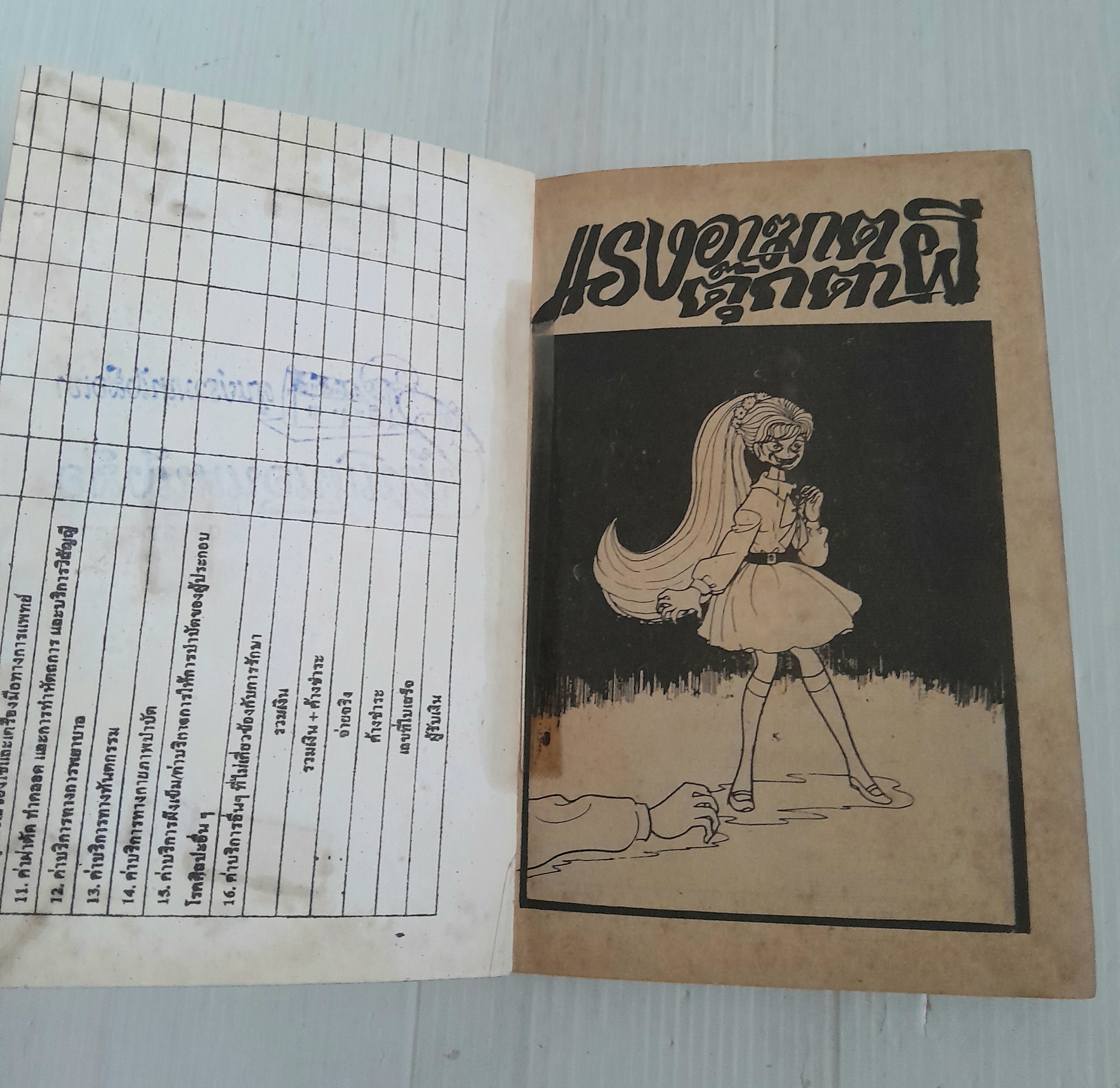 แรงอาฆาตตุ๊กตาผี (เล่มเดียวจบ)