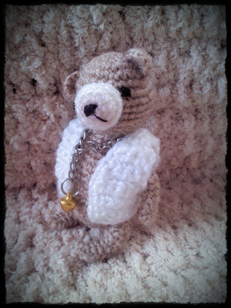 หมีน้ำตาลหน้าสงสัย