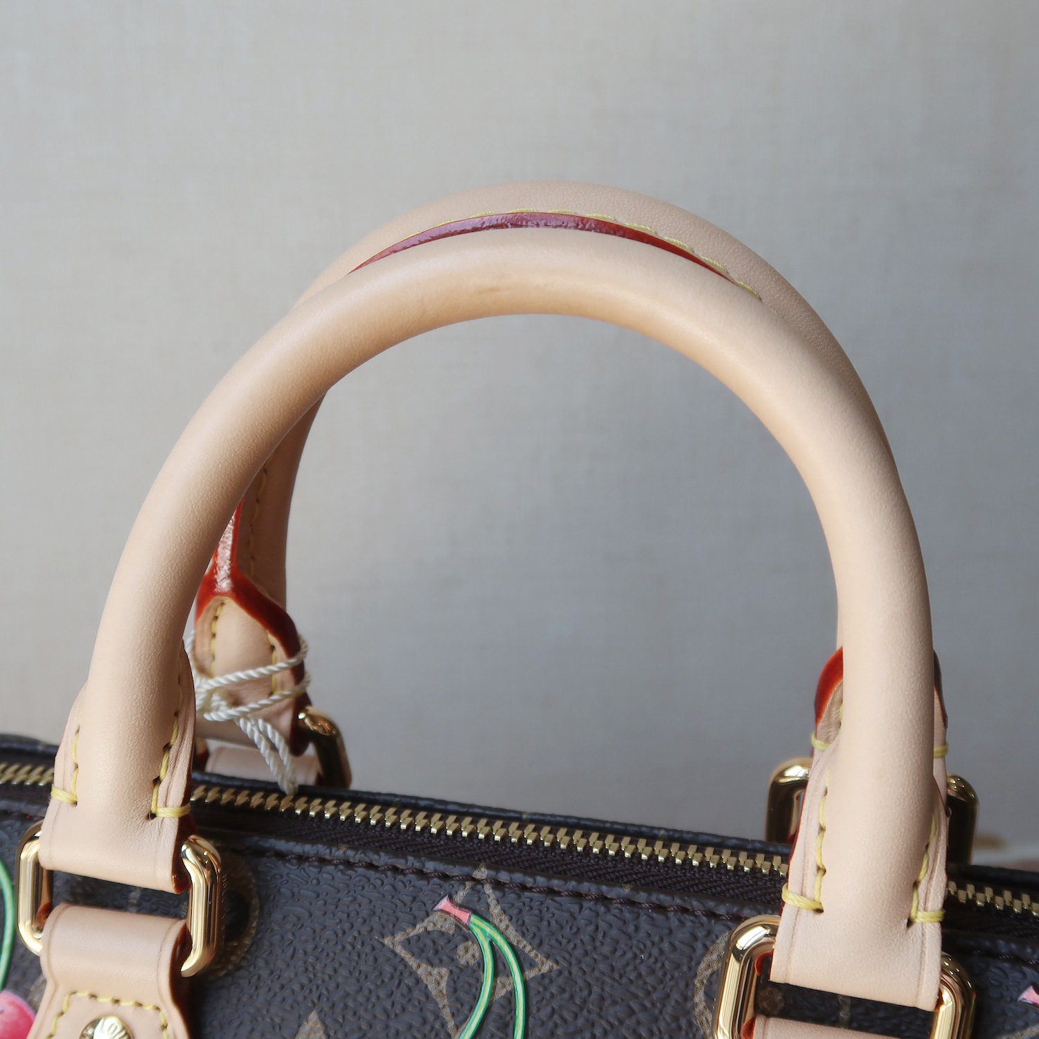 Louis Vuitton X Murakami Monogram Cherry Speedy 20 Ban"