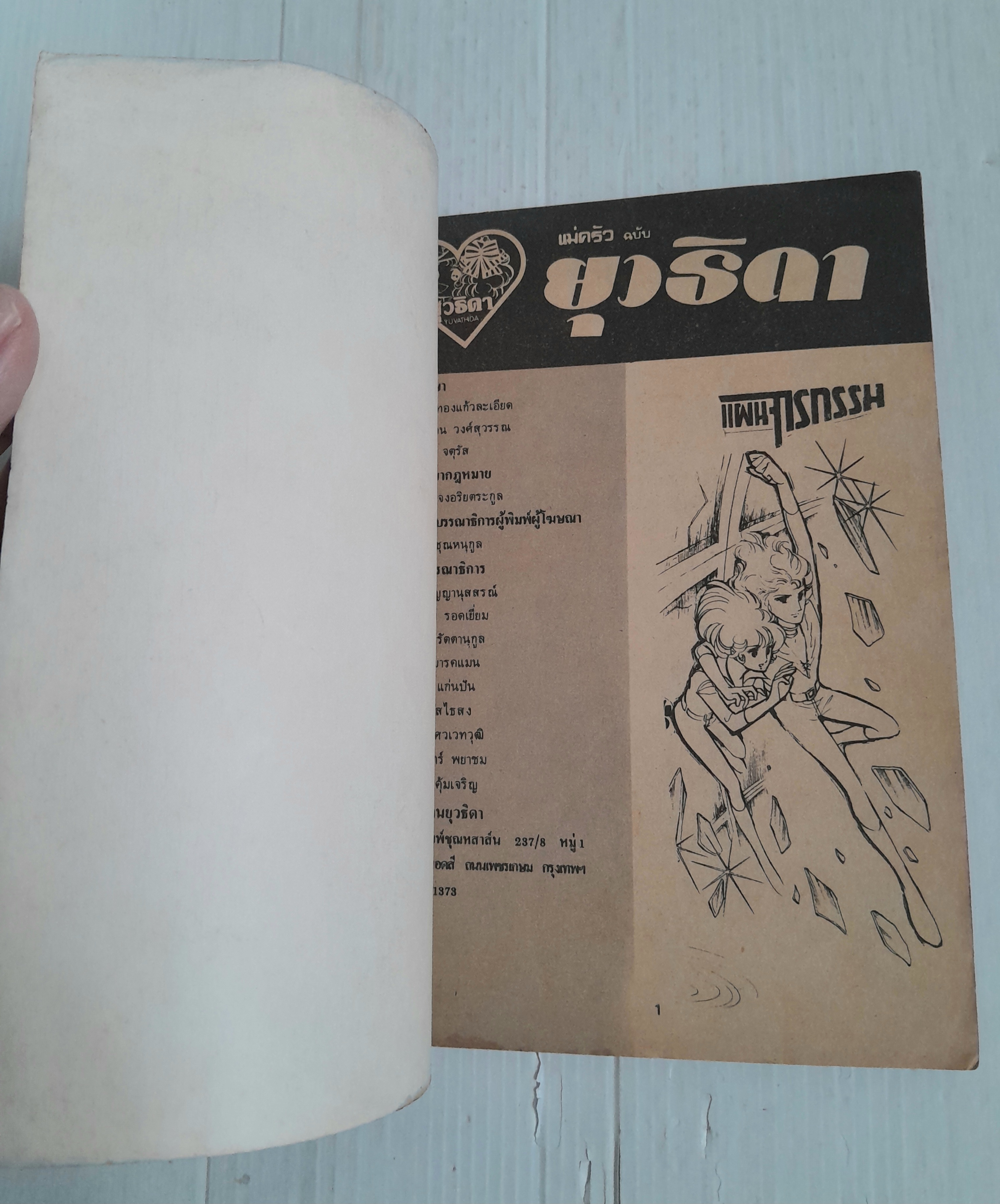 แผนโจรกรรม (เล่มเดียวจบ)