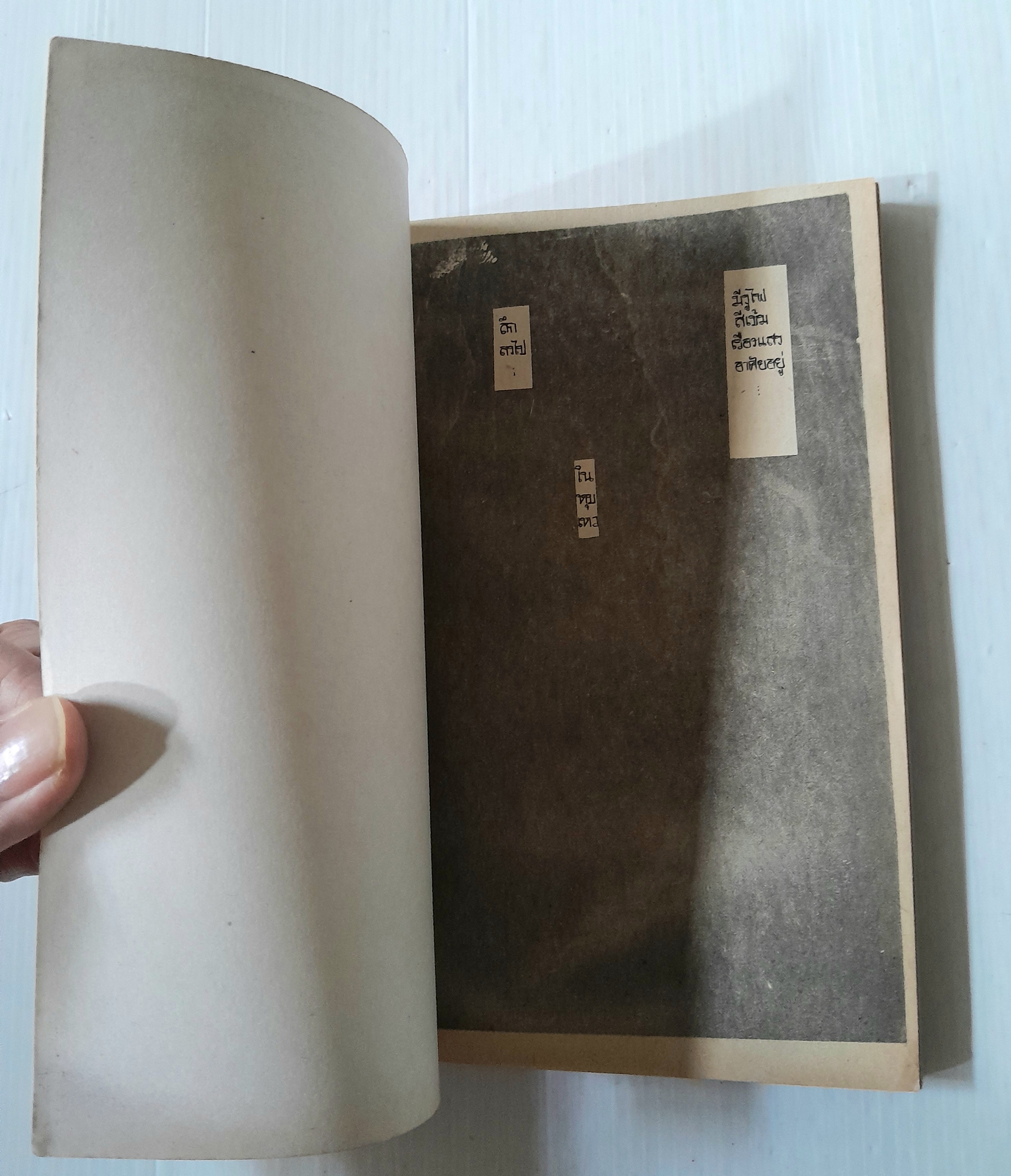 มนุษย์โลกใหม่ (เล่มเดียวจบ) / ทากาชินะ เรียวโกะ