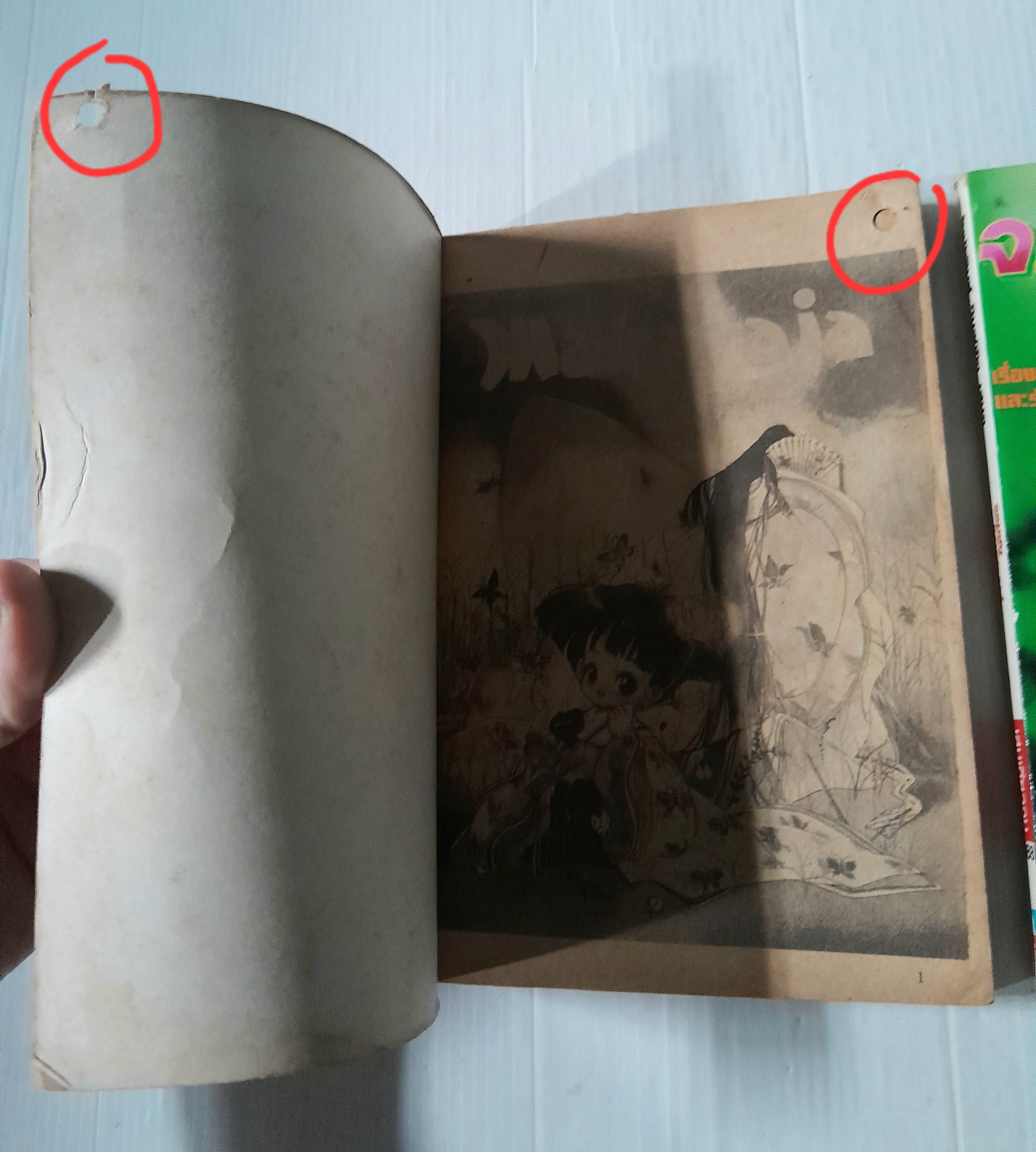 จอมซนแดนสวรรค์ 2 เล่มจบ / อาชิโมโตะ มาซาเอะ