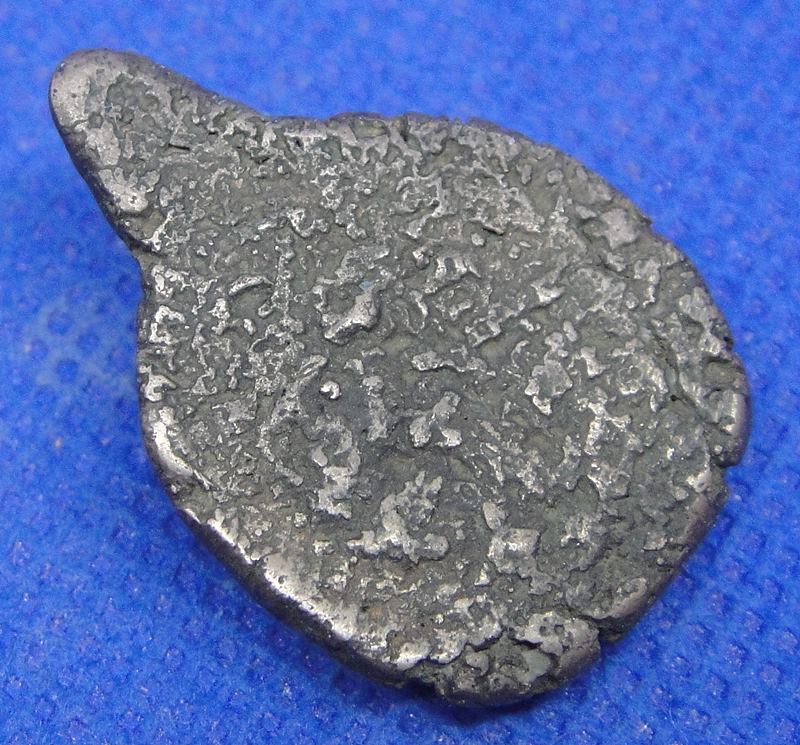 เต่าหลวงพ่อเงิน