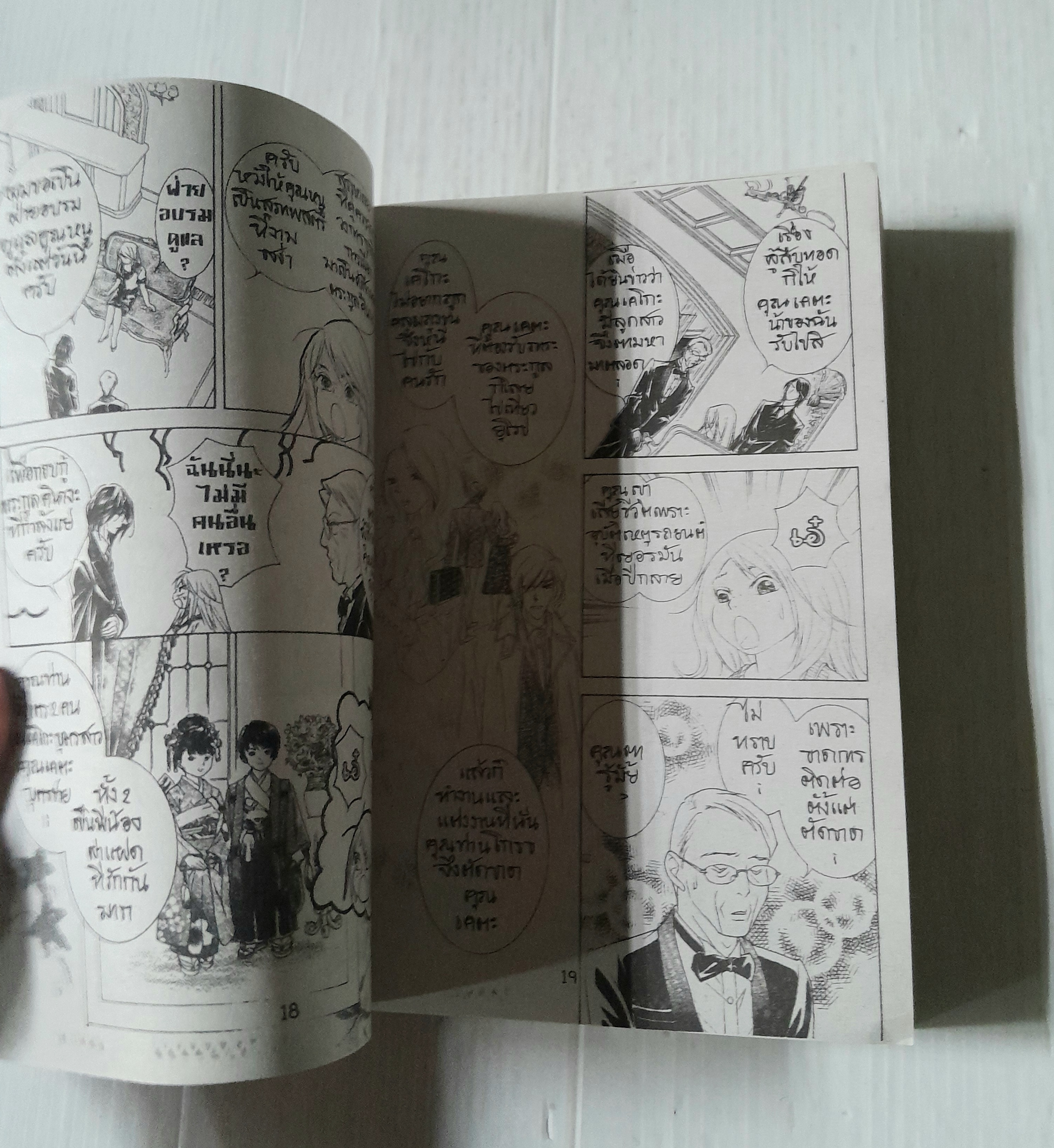 คุณหนูกับทาสหนุ่ม (เล่มเดียวจบ)