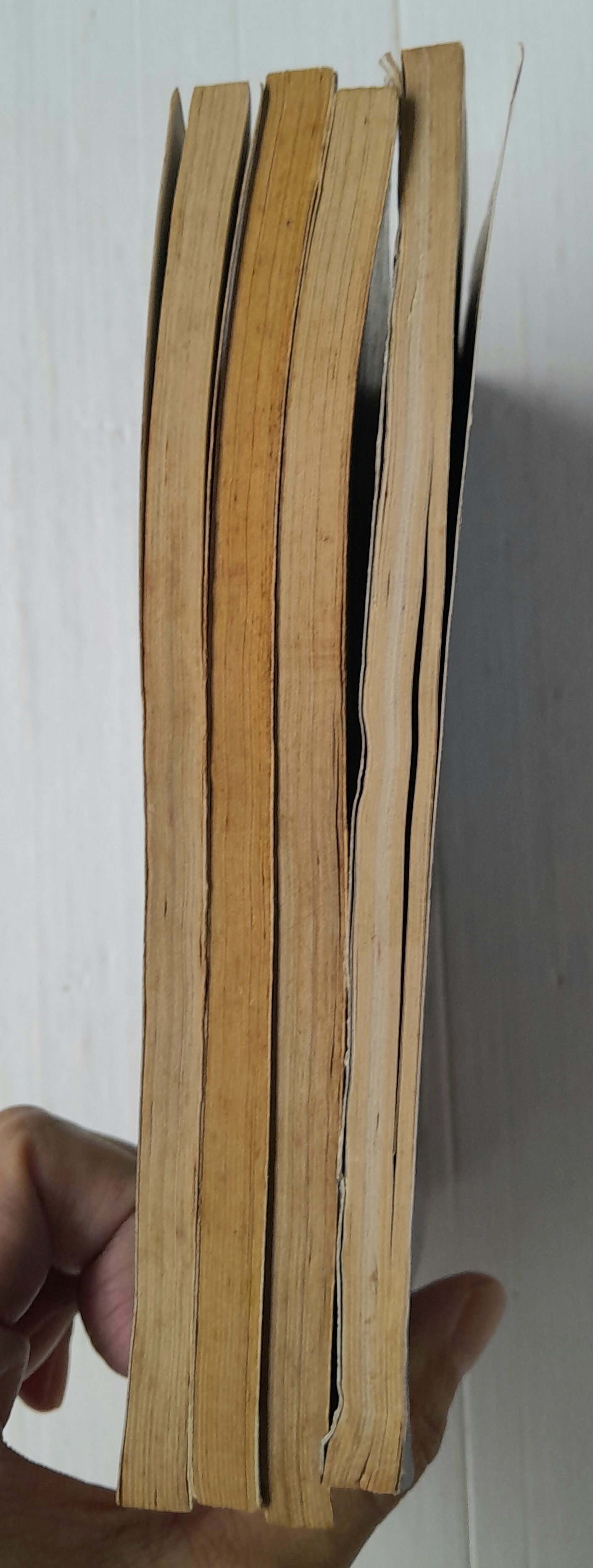 นิวยอร์ค นิวยอร์ค 4 เล่มจบ / Marimo Ragawa