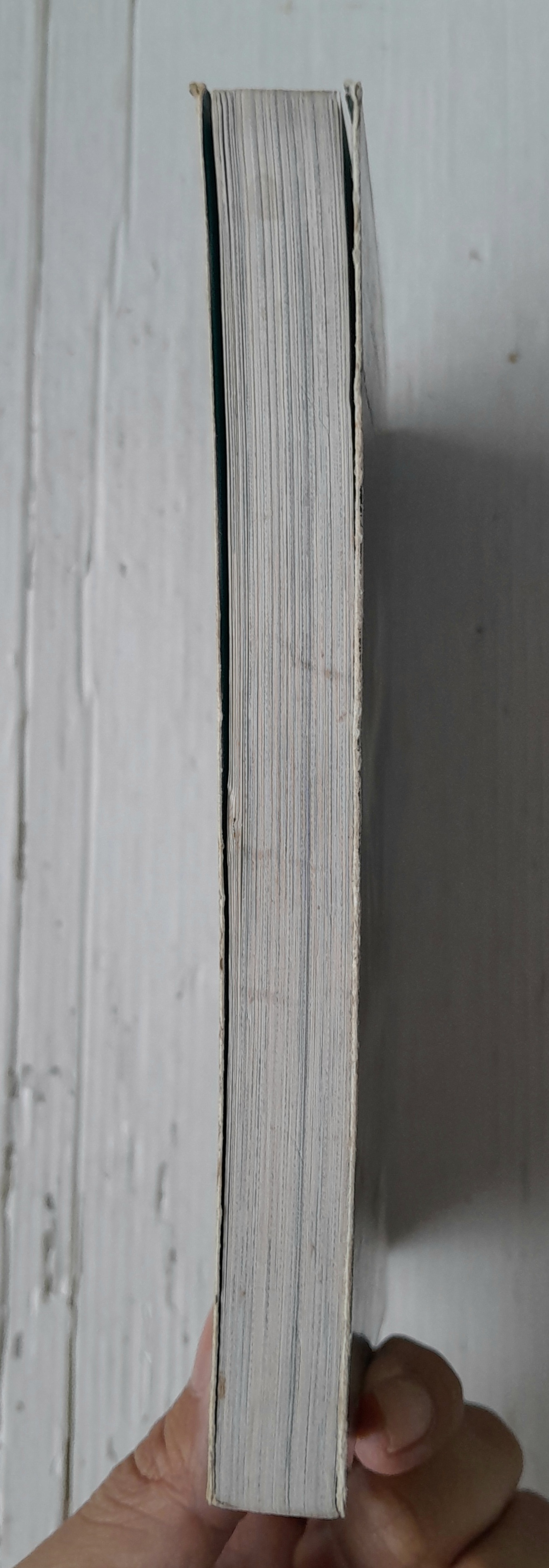 การ์ตูนวิทยาการแสนสนุก พิภพมหัศจรรย์ เล่ม 6