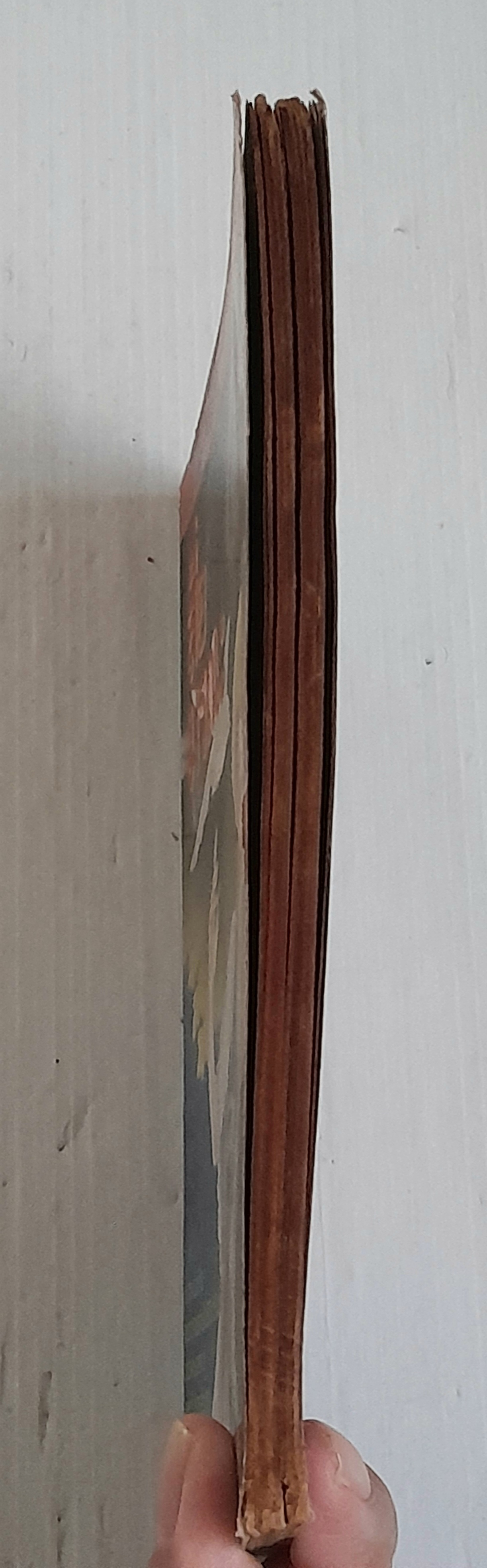 สื่อมรณะ (เล่มเดียวจบ) / ทากาชินะ เรียวโกะ