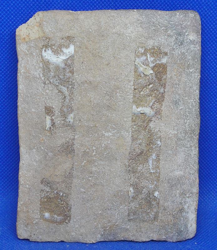 พระนาดูน